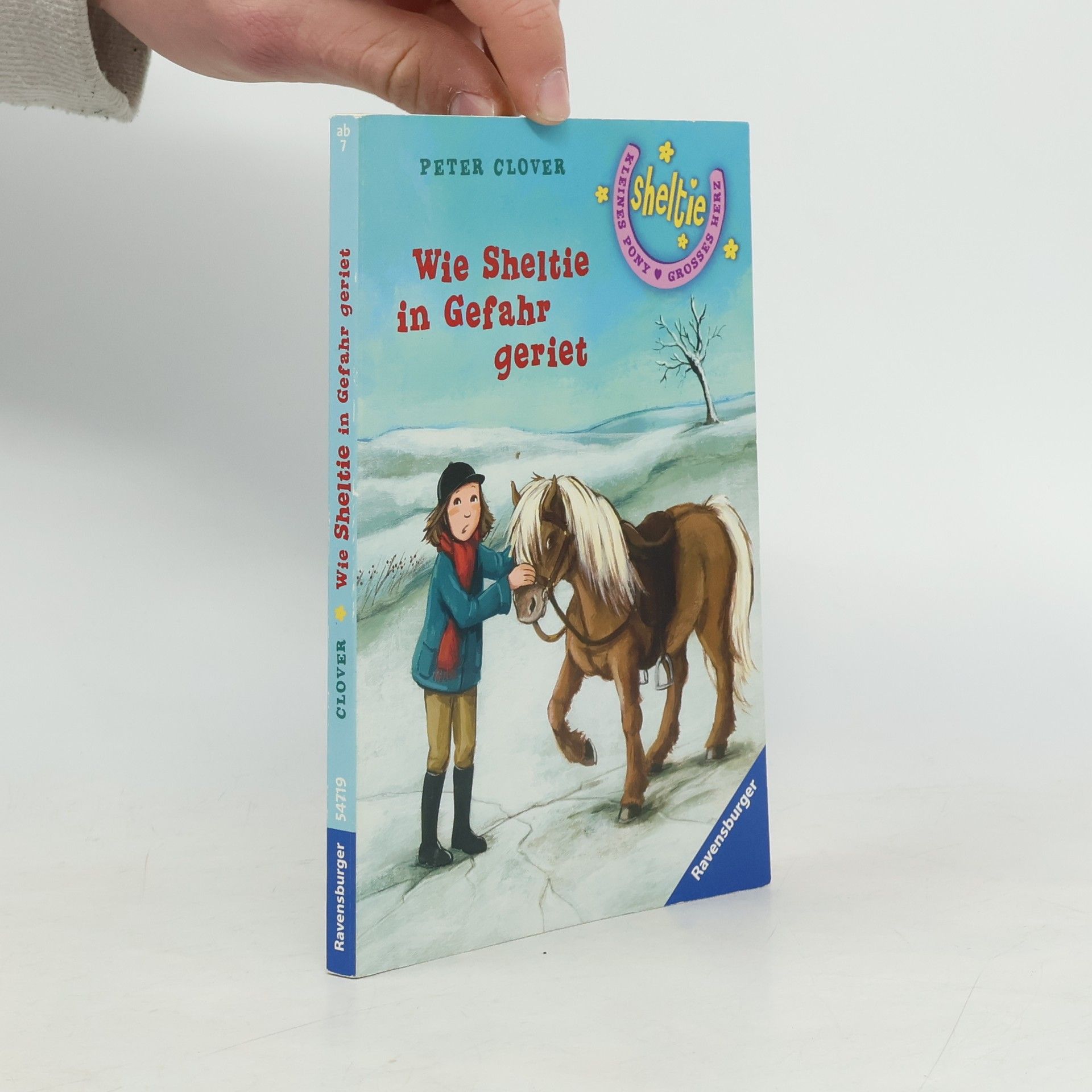 Wie Sheltie in Gefahr geriet