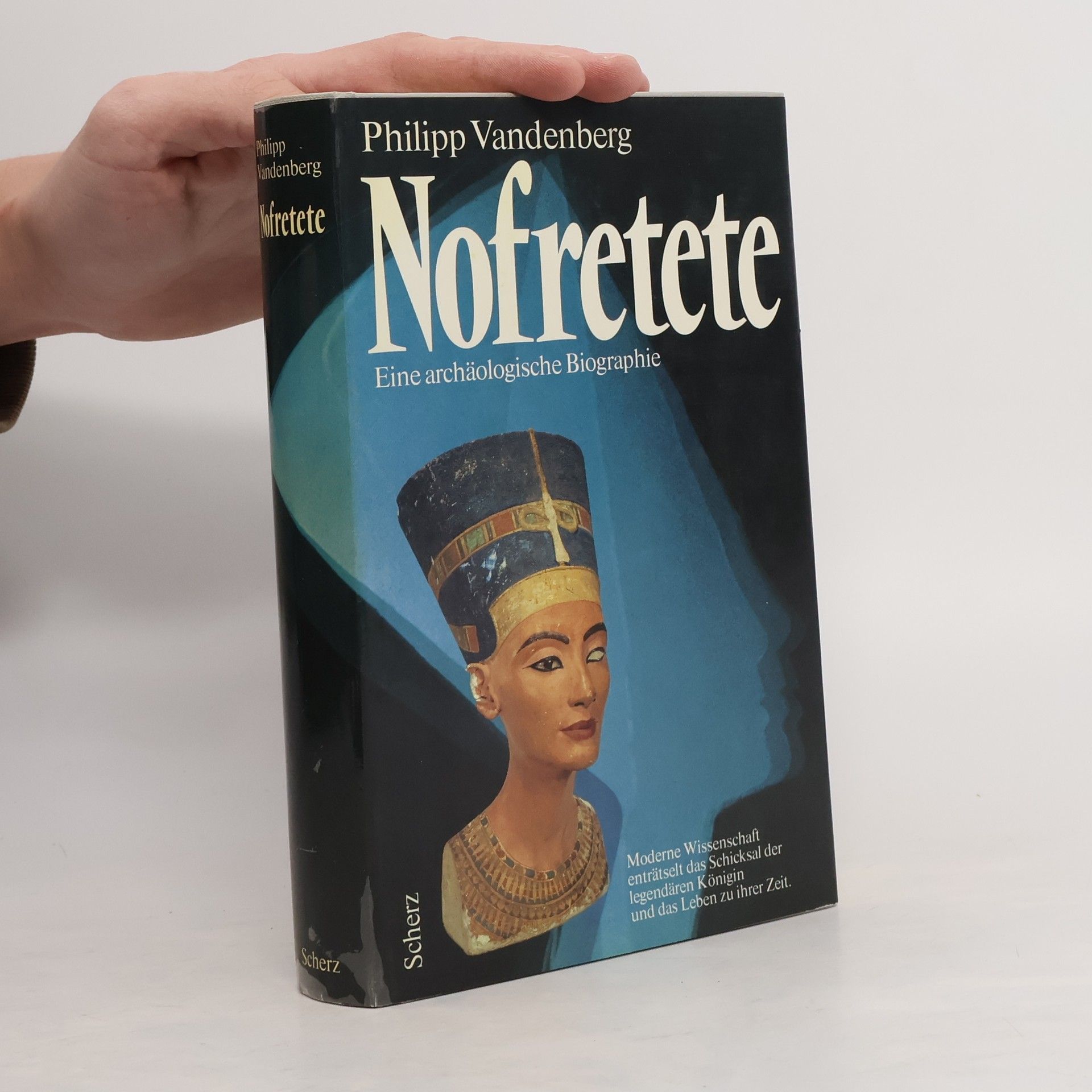 Philipp Vandenberg Nofretete und ihre Zeit. Eine archäologische Biografie
