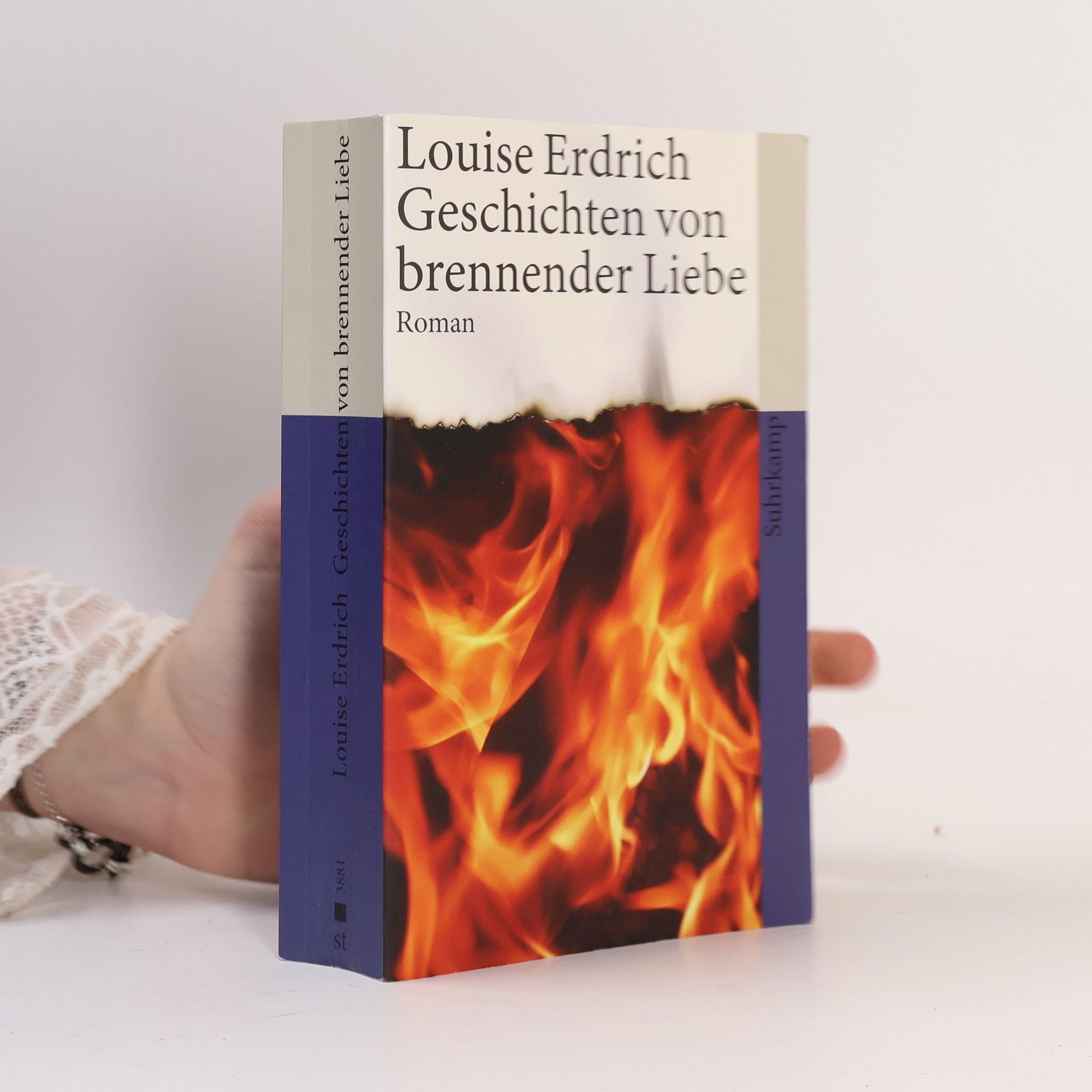 Louise Erdrich Geschichten von brennender Liebe