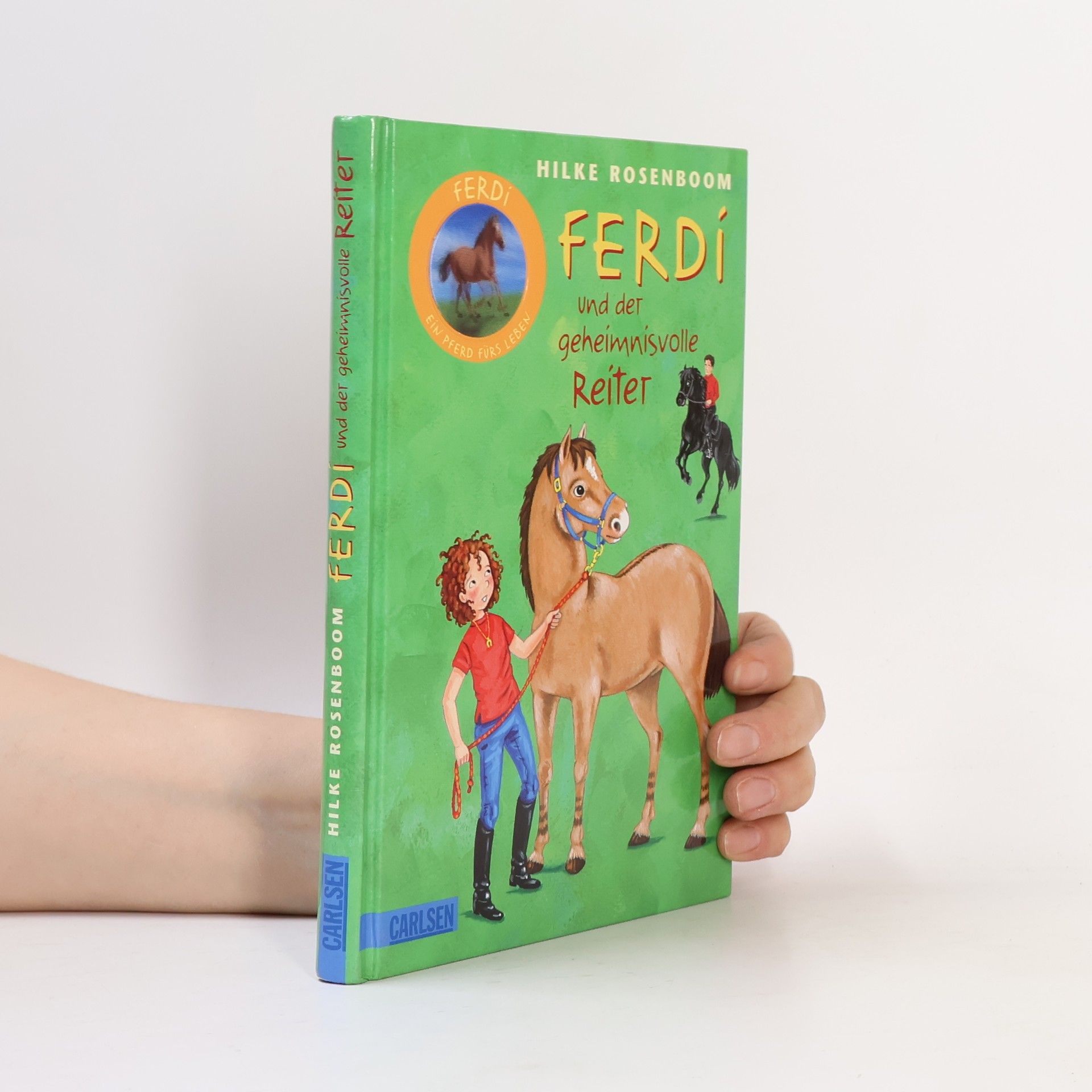 Hilke Rosenboom Ferdi und der geheimnisvolle Reiter