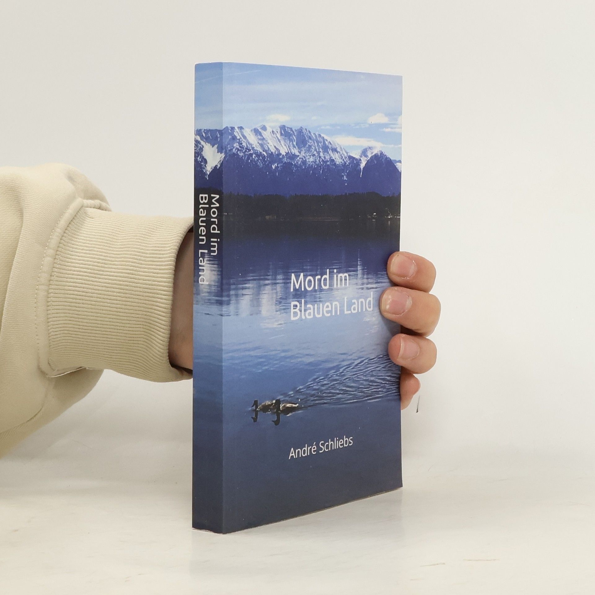 André Schliebs Mord im Blauen Land