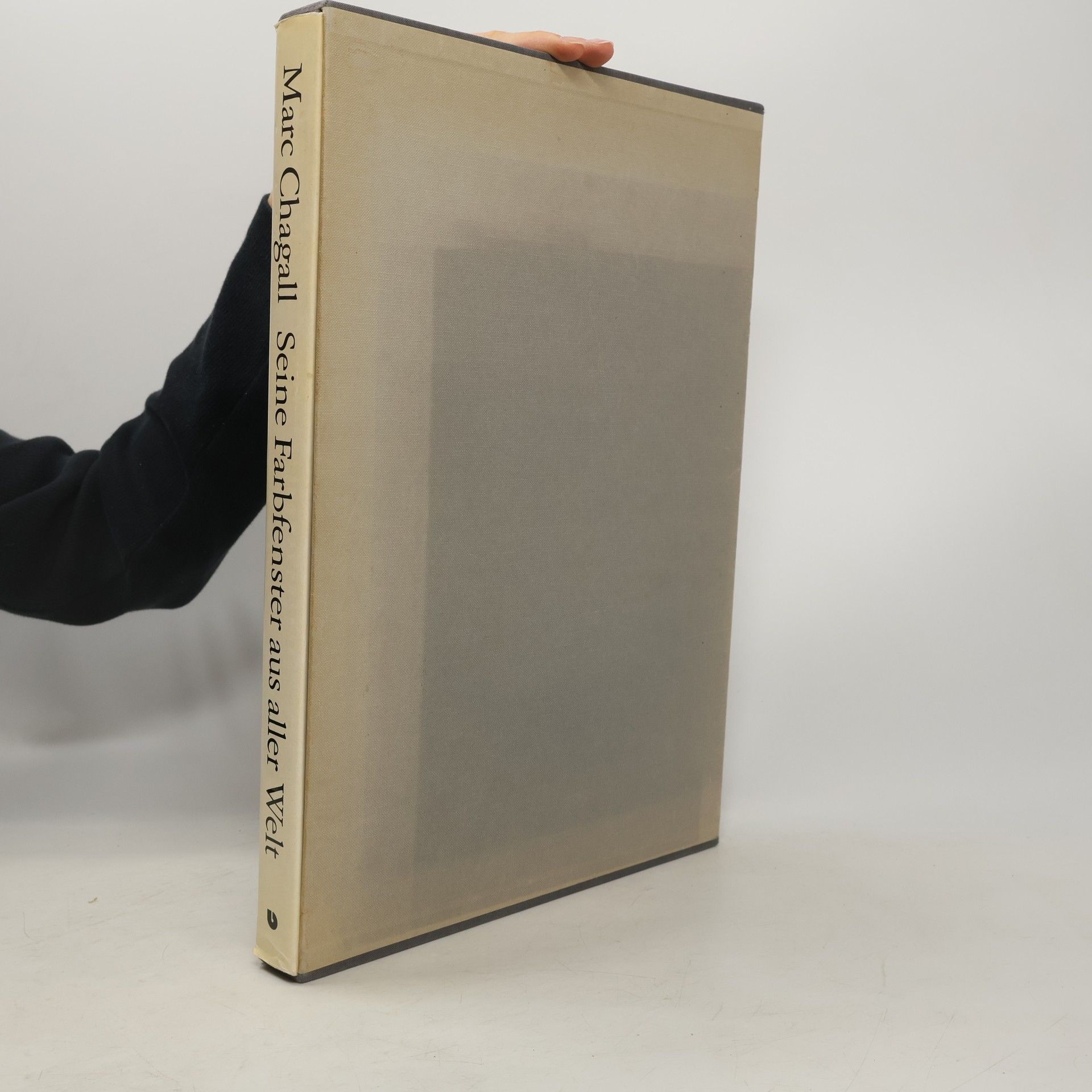 Sylvie Forestier Marc Chagall. Seine Farbfenster aus aller Welt