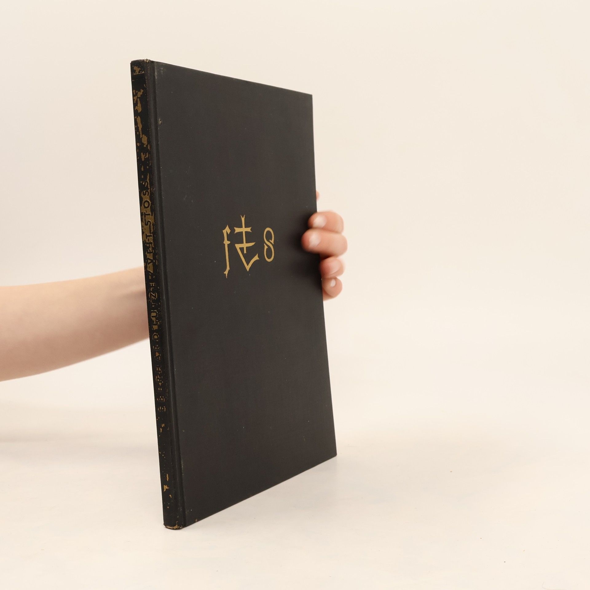 Veit Stoss. Deutsche Lande deutsche Kunst, begründet von Burkhard Meier