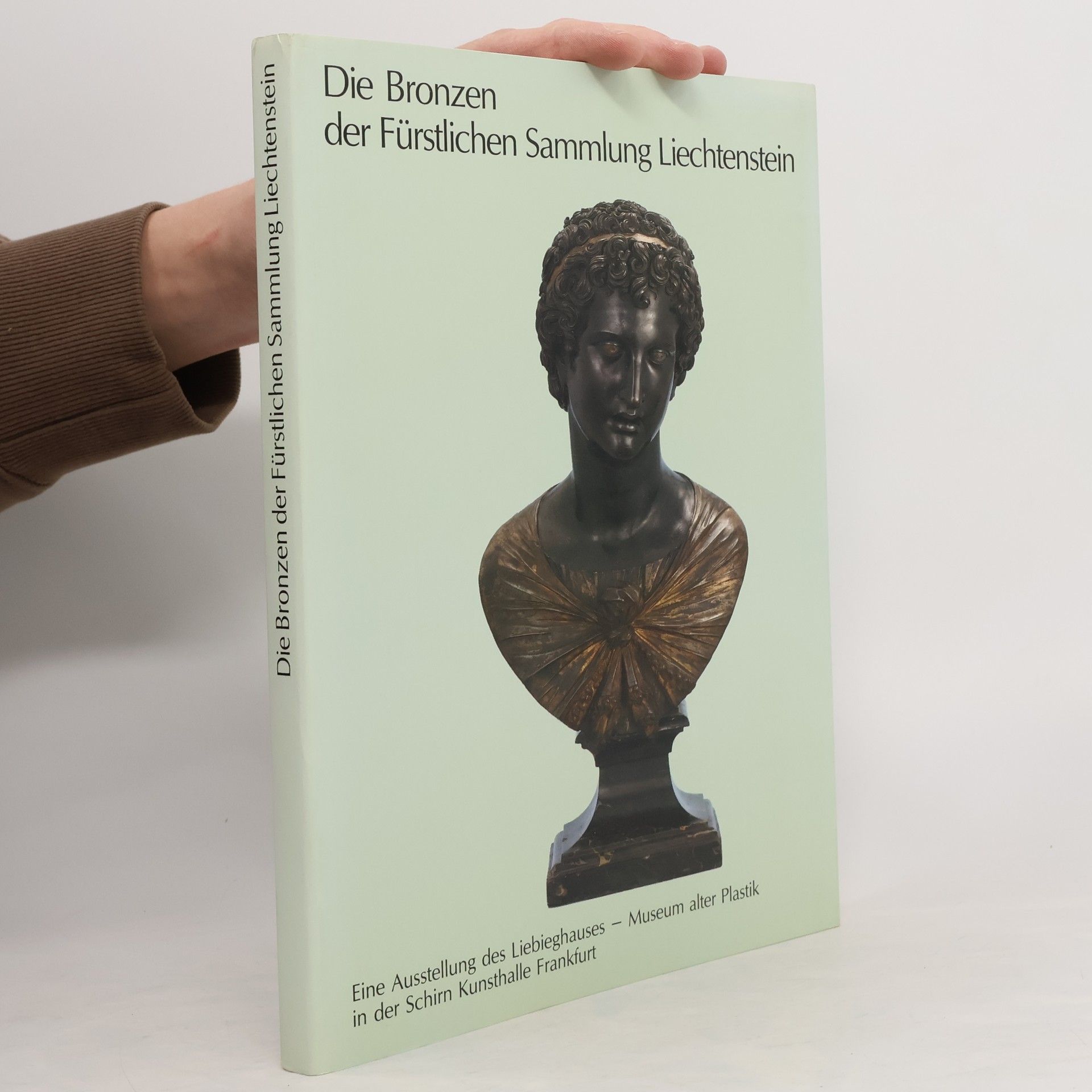 Kolektiv autorů Die Bronzen der Fürstlichen Sammlung Liechtenstein