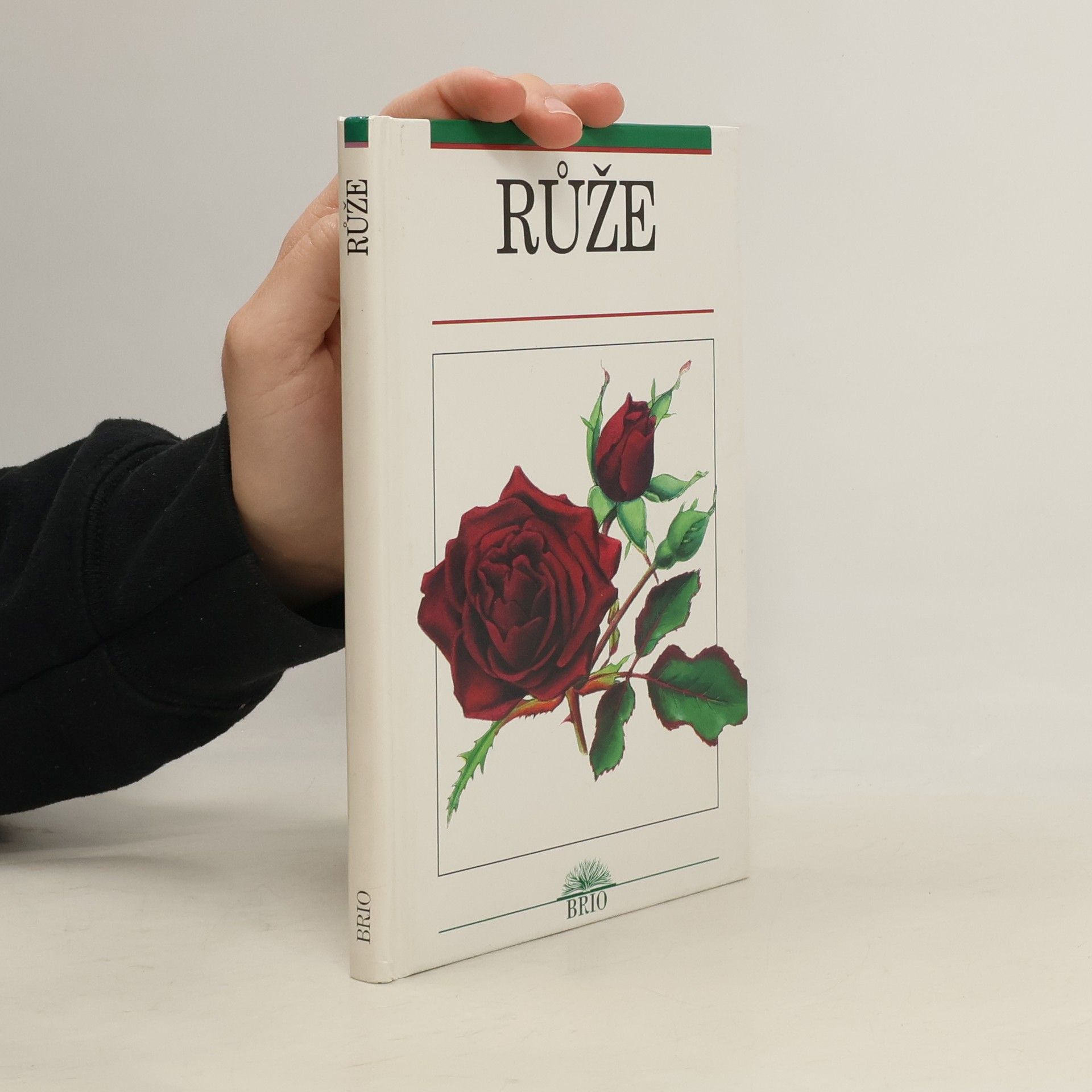 Václav Větvička Růže