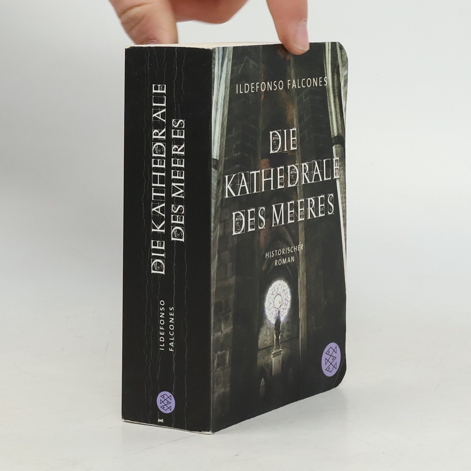 Ildefonso Falcones Die Kathedrale des Meeres