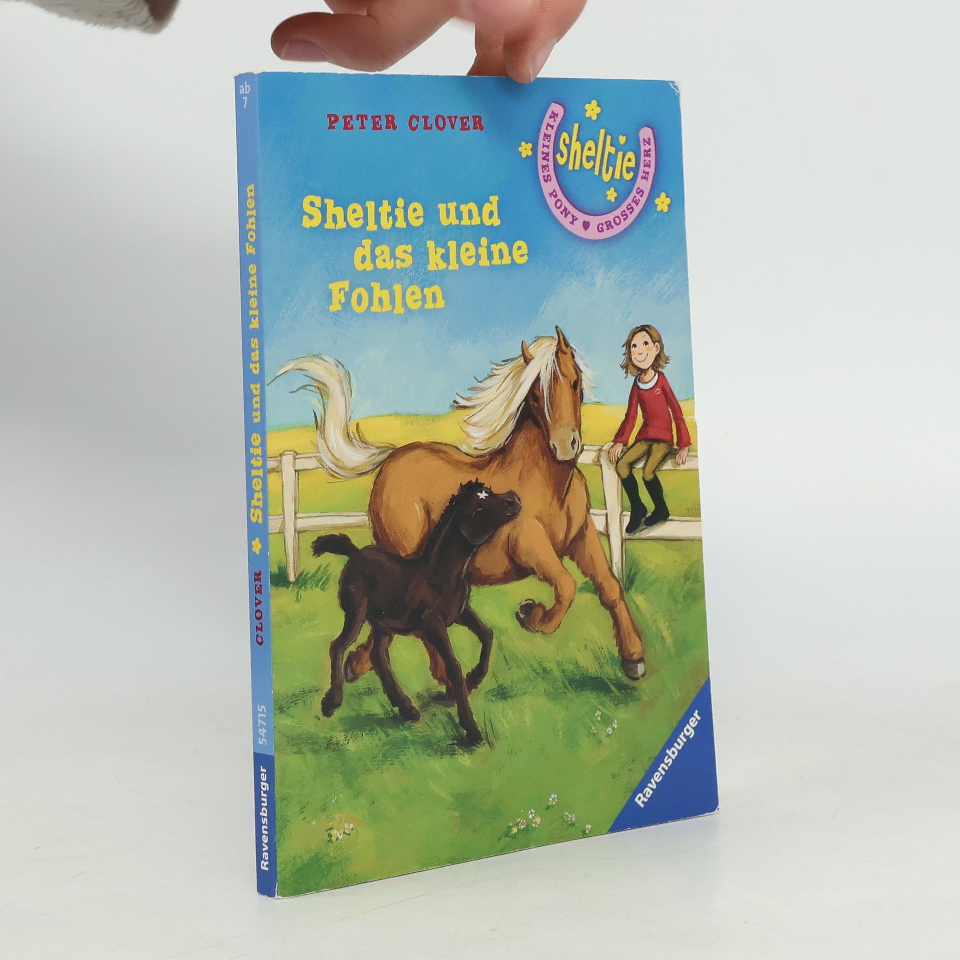 Peter Clover Sheltie und das kleine Fohlen