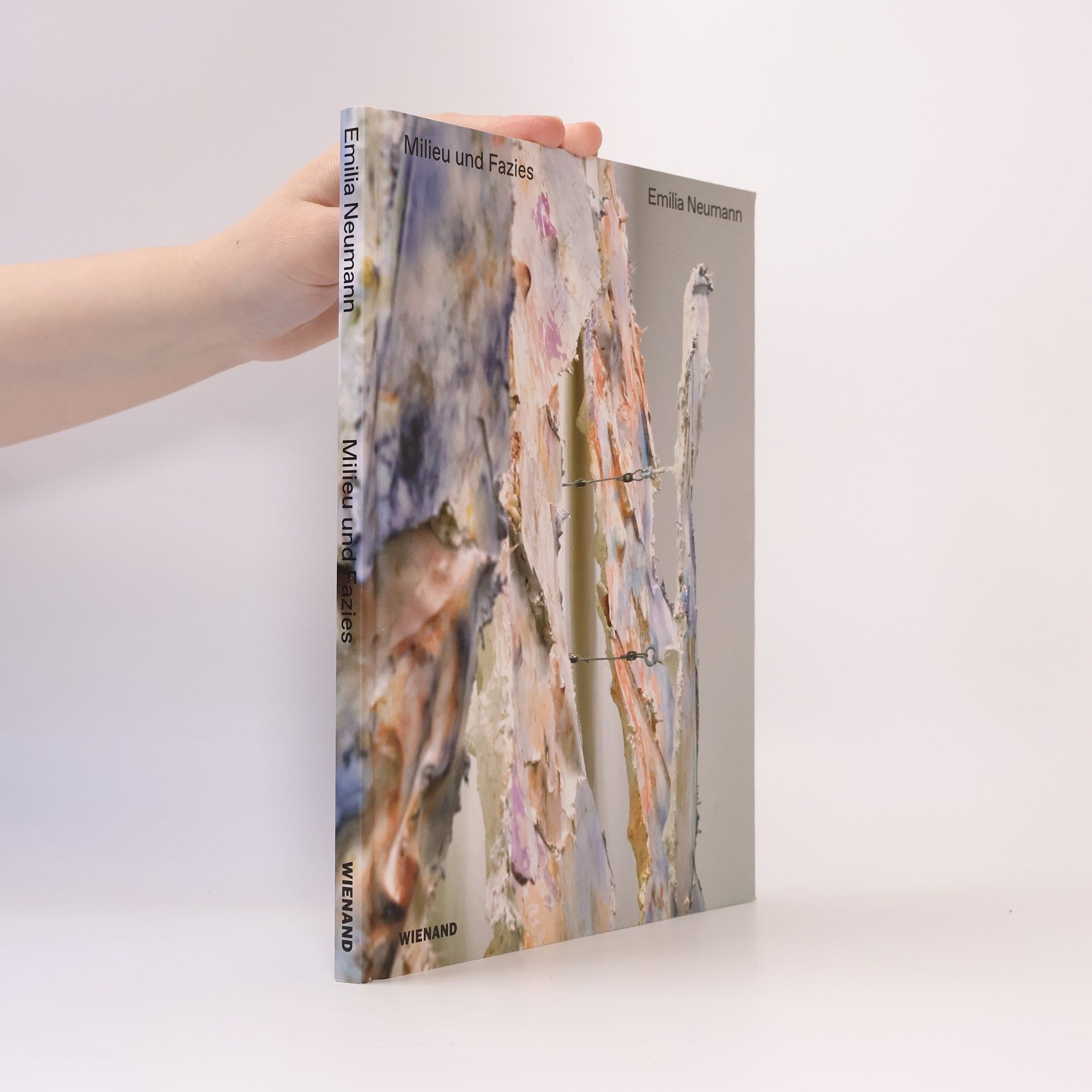 Wienand Verlag & Medien Emilia Neumann.Milieu und Fazies. Milieu and Facies