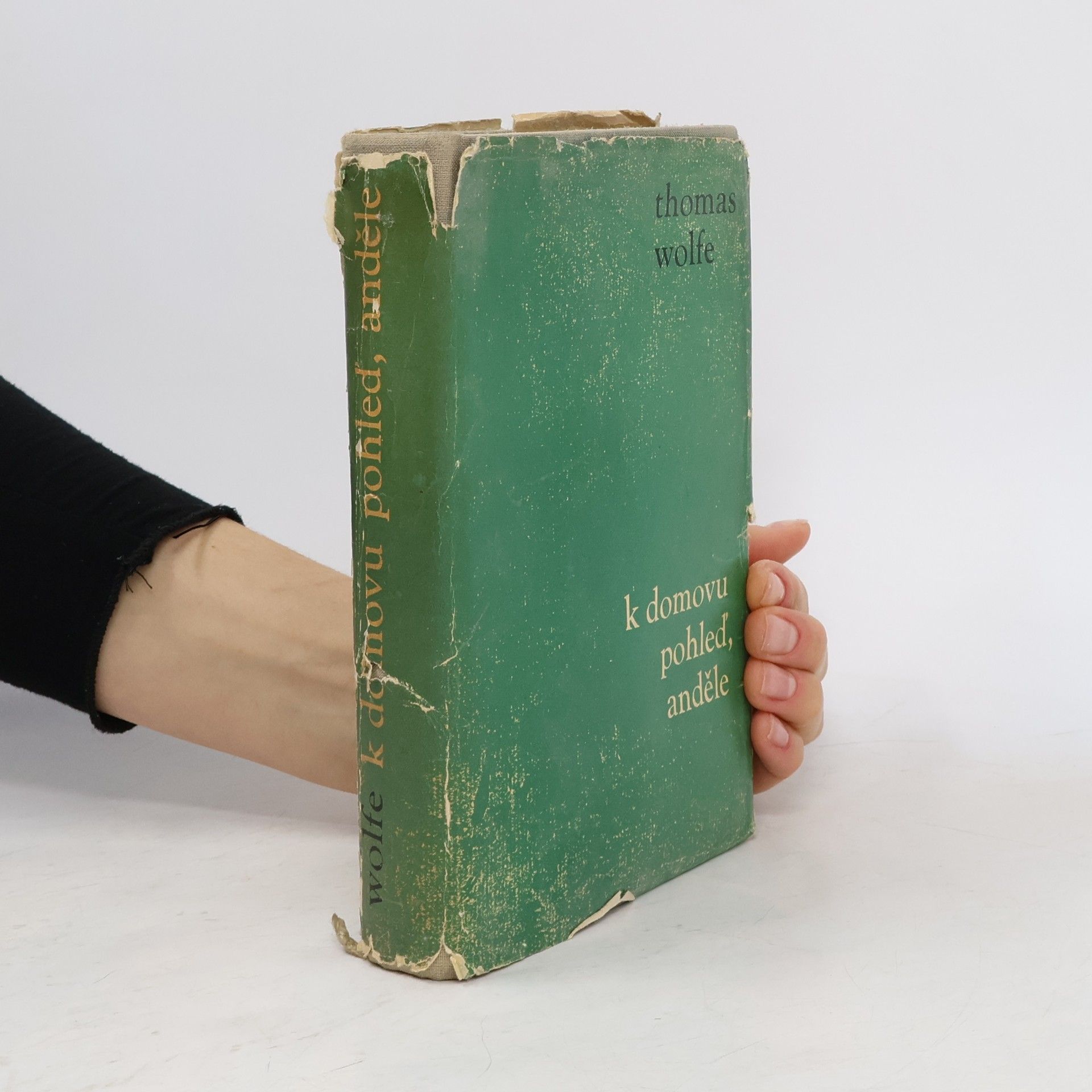 Thomas Clayton Wolfe K domovu pohleď, anděle