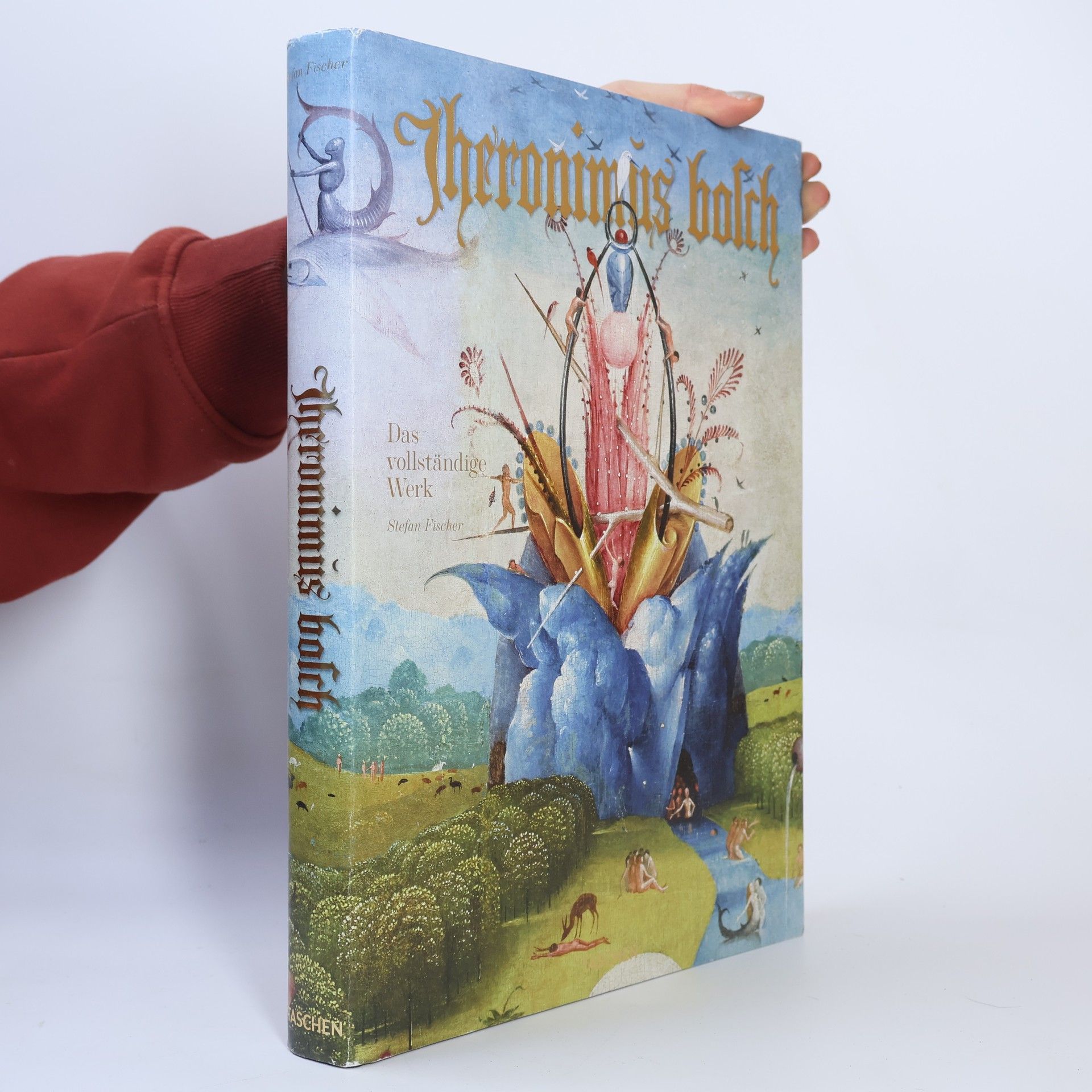 Hieronymus Bosch Jheronimus Bosch