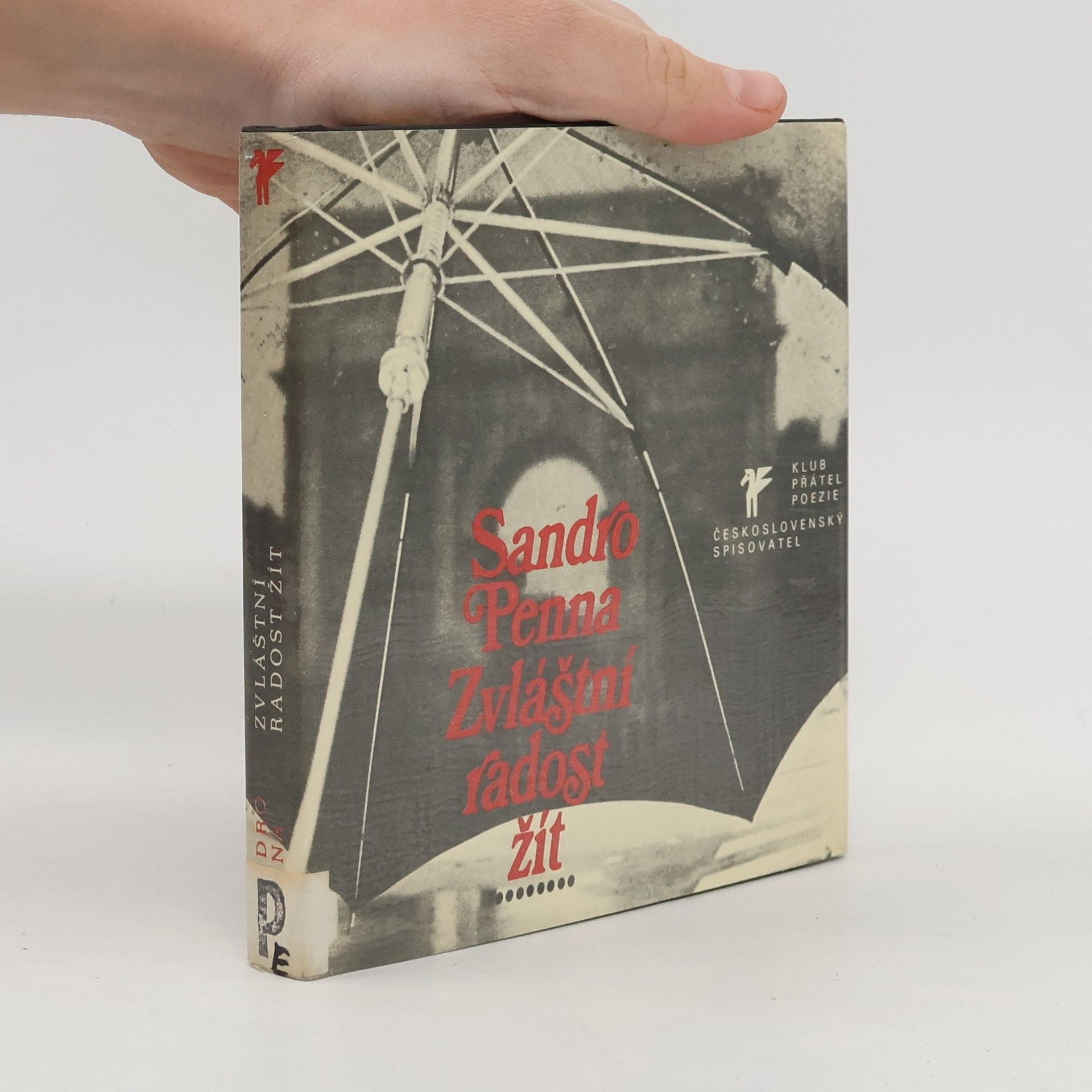 Sandro Penna Zvláštní radost žít. Výbor z lyriky