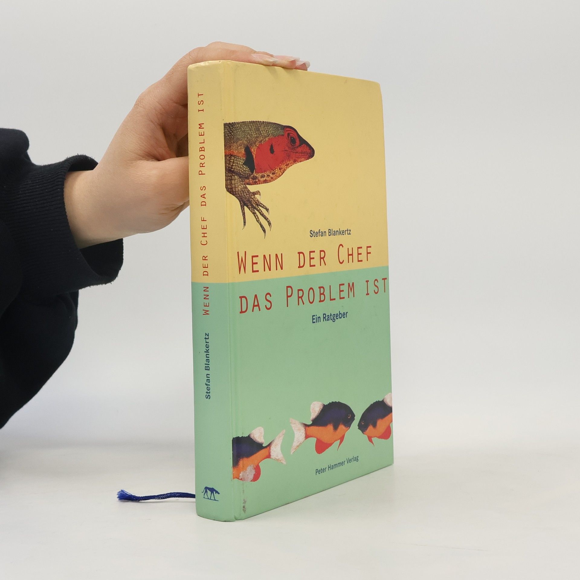 Stefan Blankertz Wenn der Chef das Problem ist