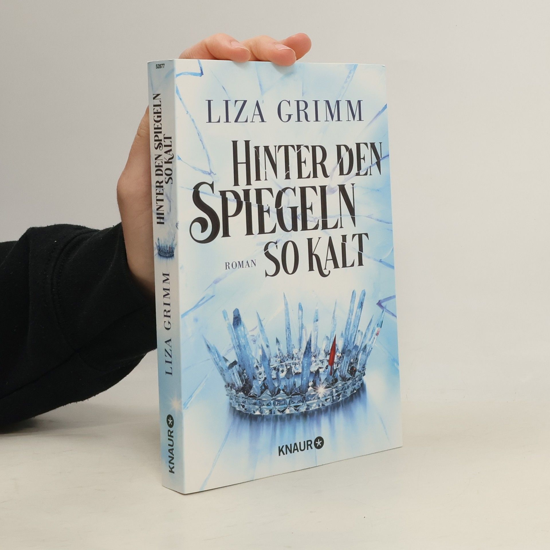 Liza Grimm Hinter den Spiegeln so kalt