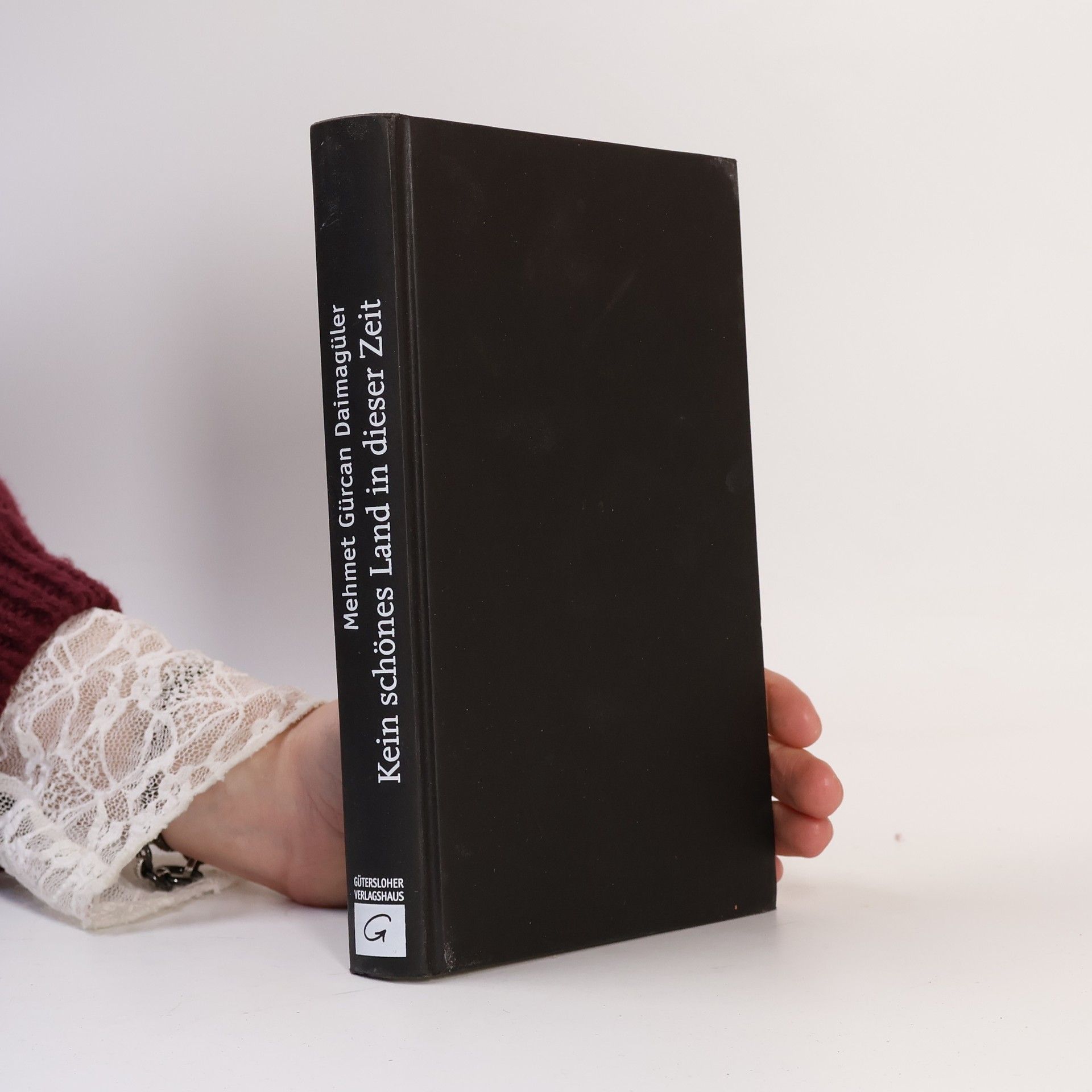 Mehmet Daimagüler Kein schönes Land in dieser Zeit