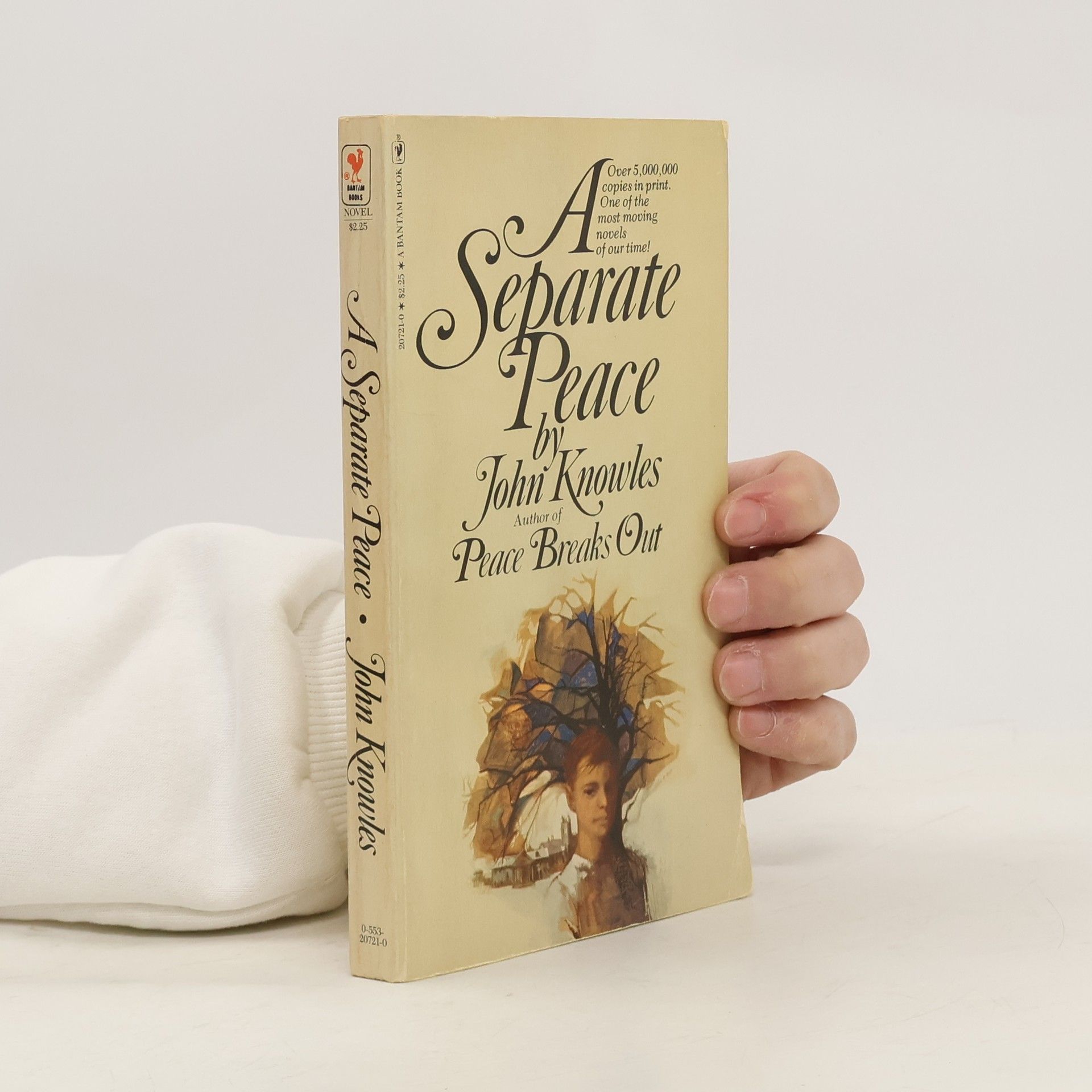 John Knowles A Separate Peace