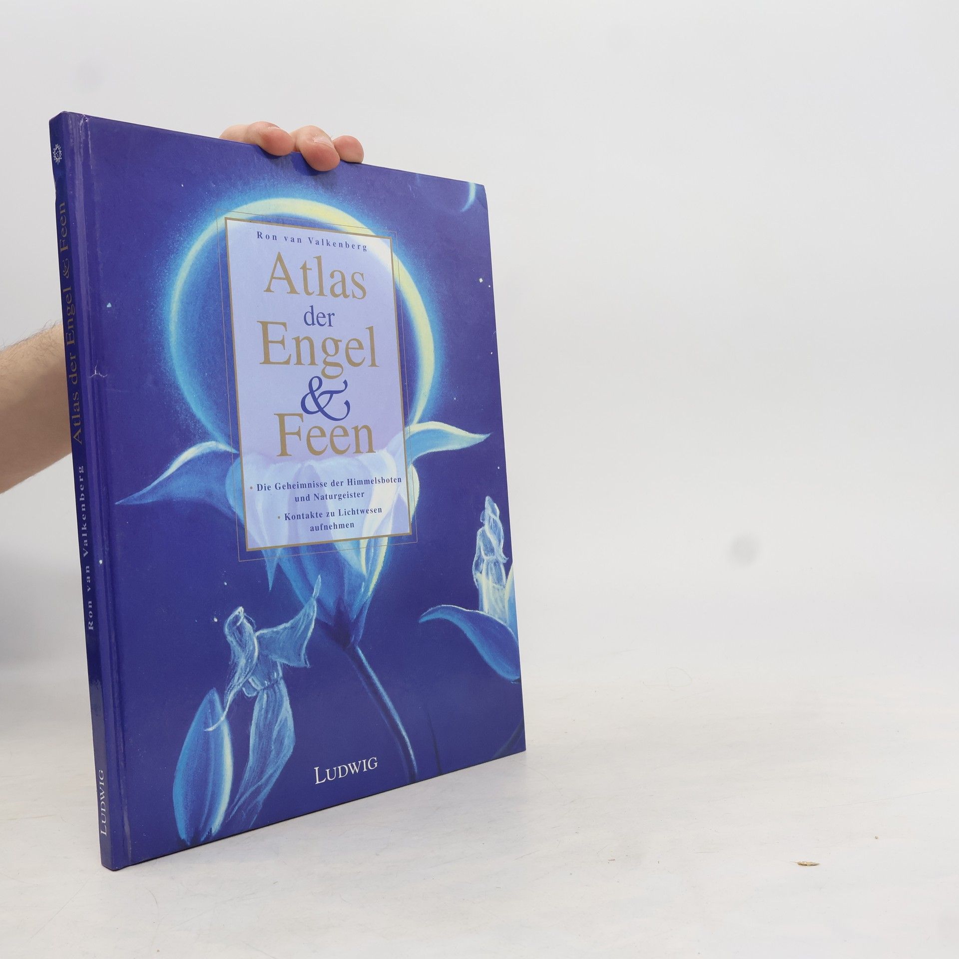 Ron van Valkenberg Atlas der Engel & Feen