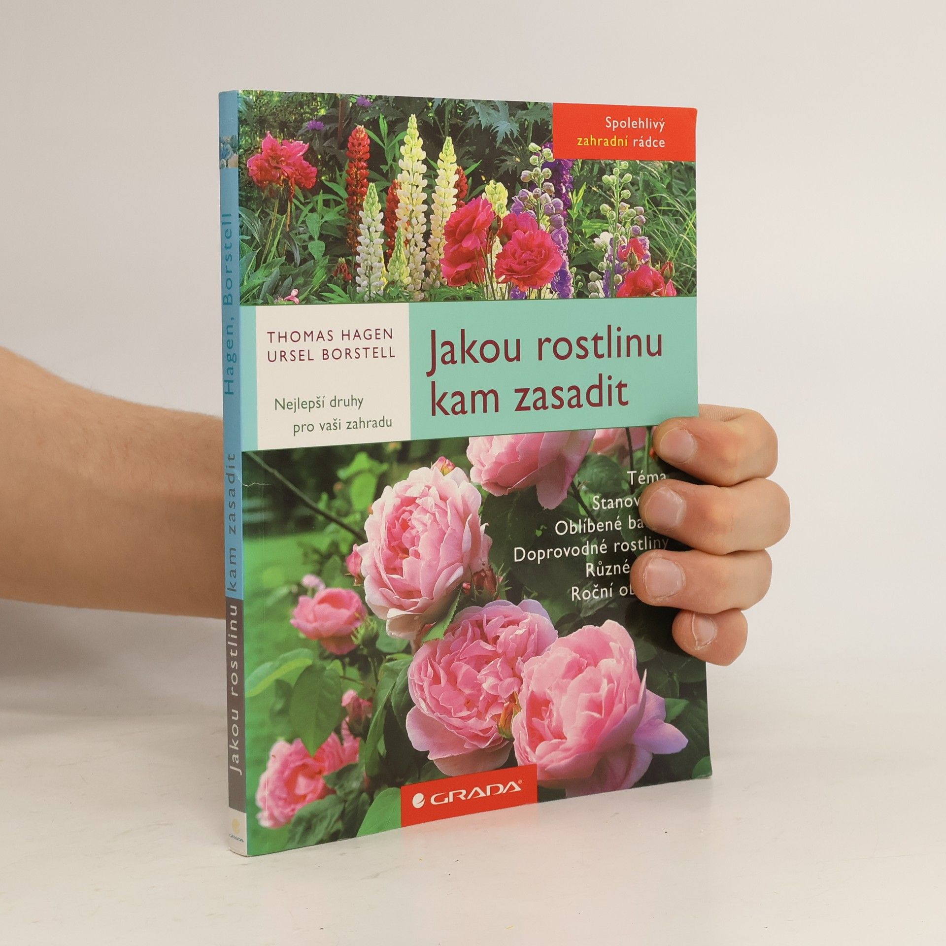 Jakou rostlinu kam zasadit