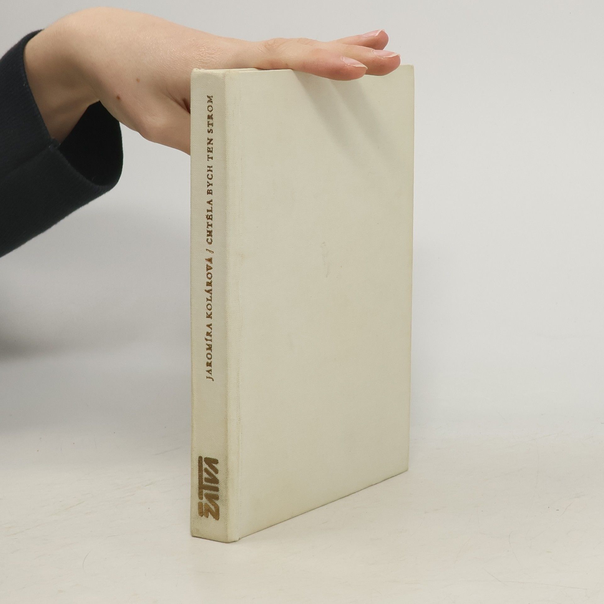 Chtěla bych ten strom