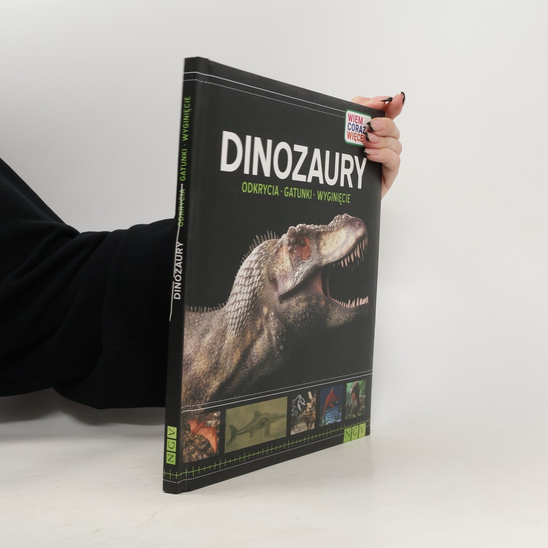 Autorenkollektiv Dinozaury