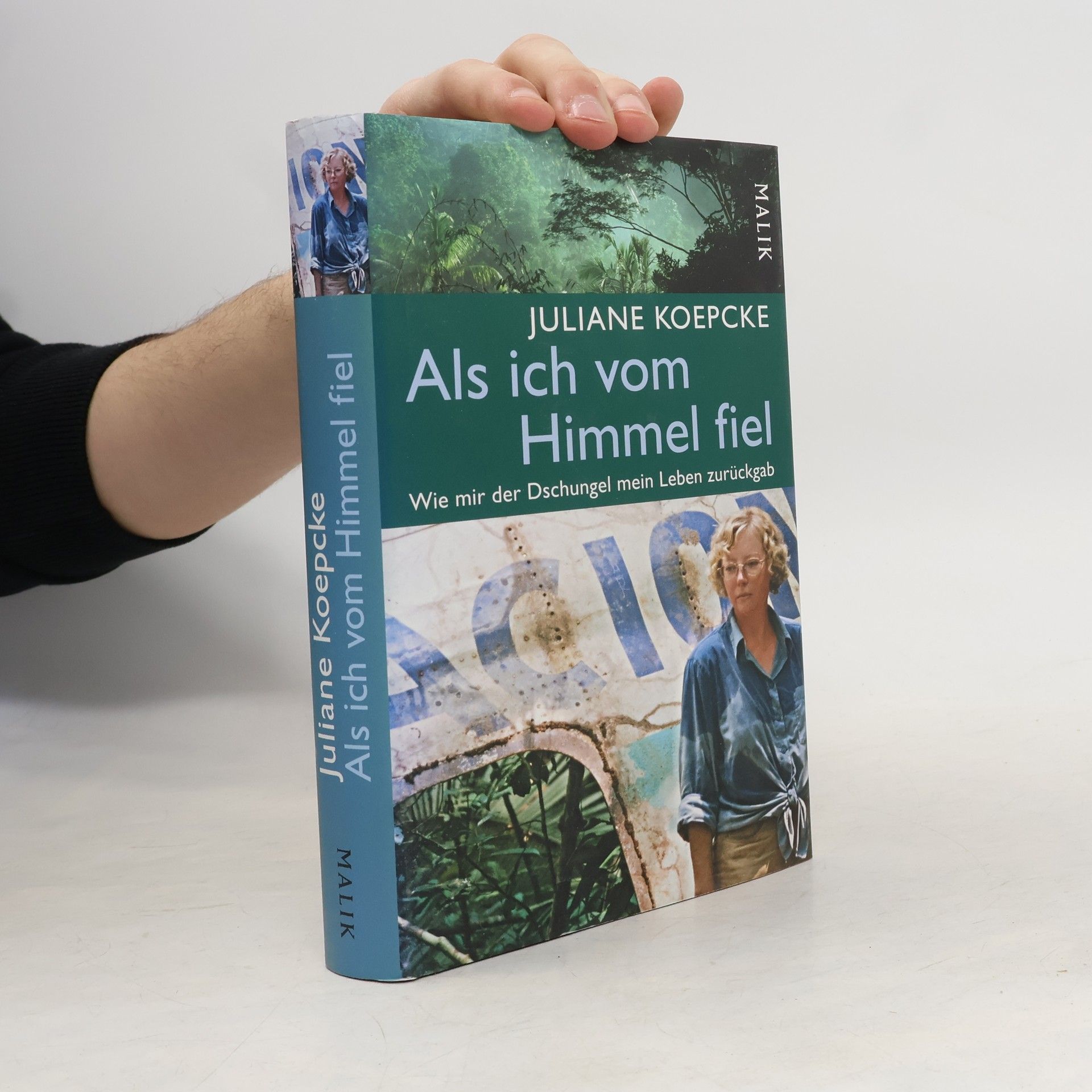 Juliane Diller Als ich vom Himmel fiel