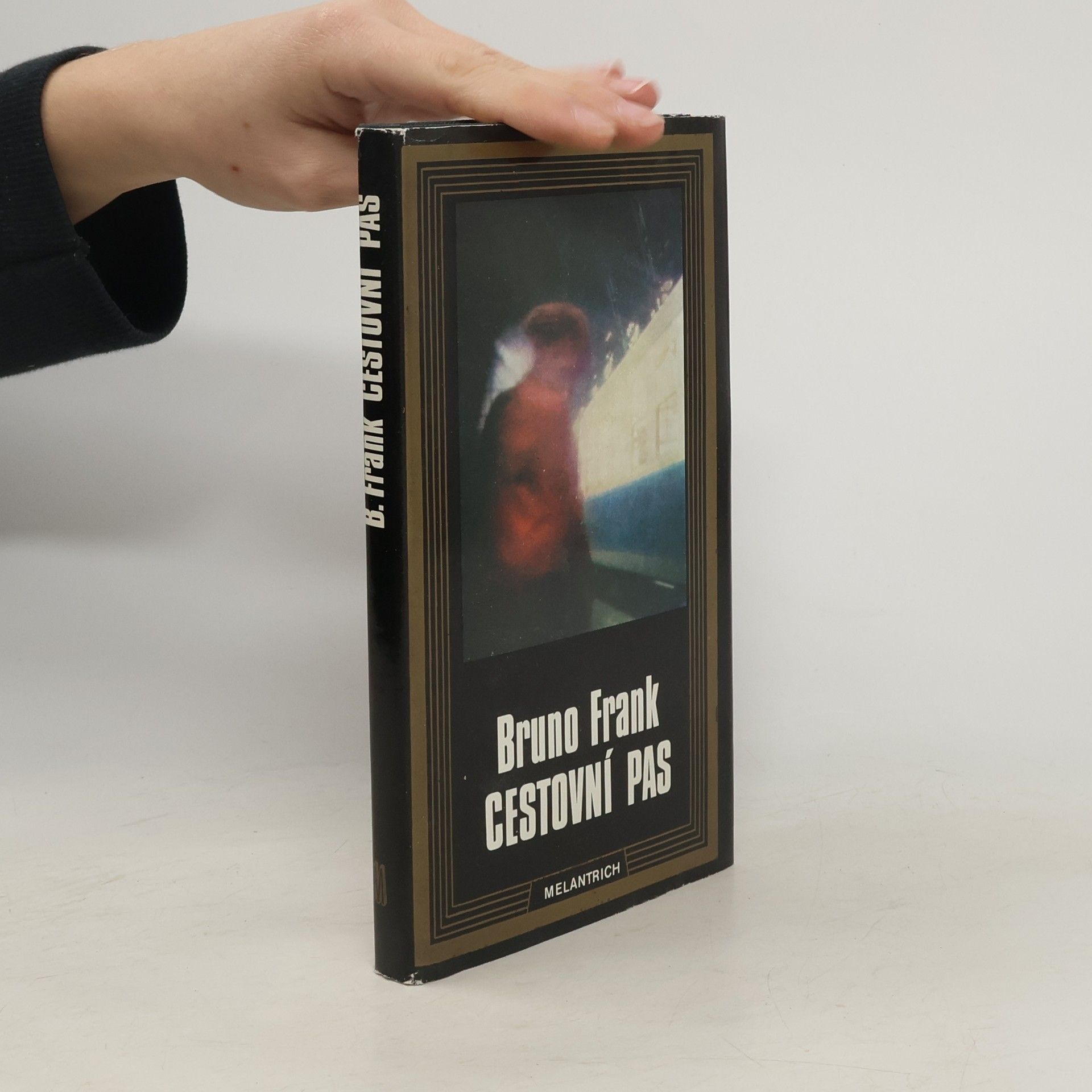 Bruno Frank Cestovní pas