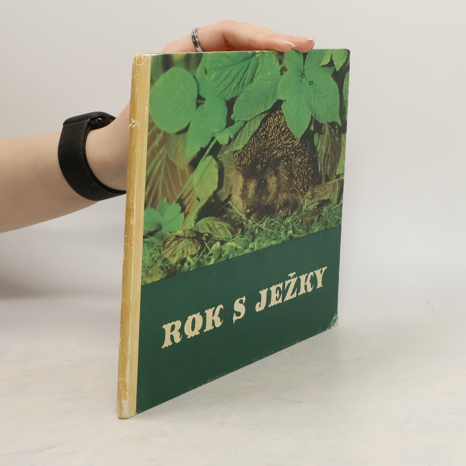 Friedrich W. Stöcker Rok s ježky