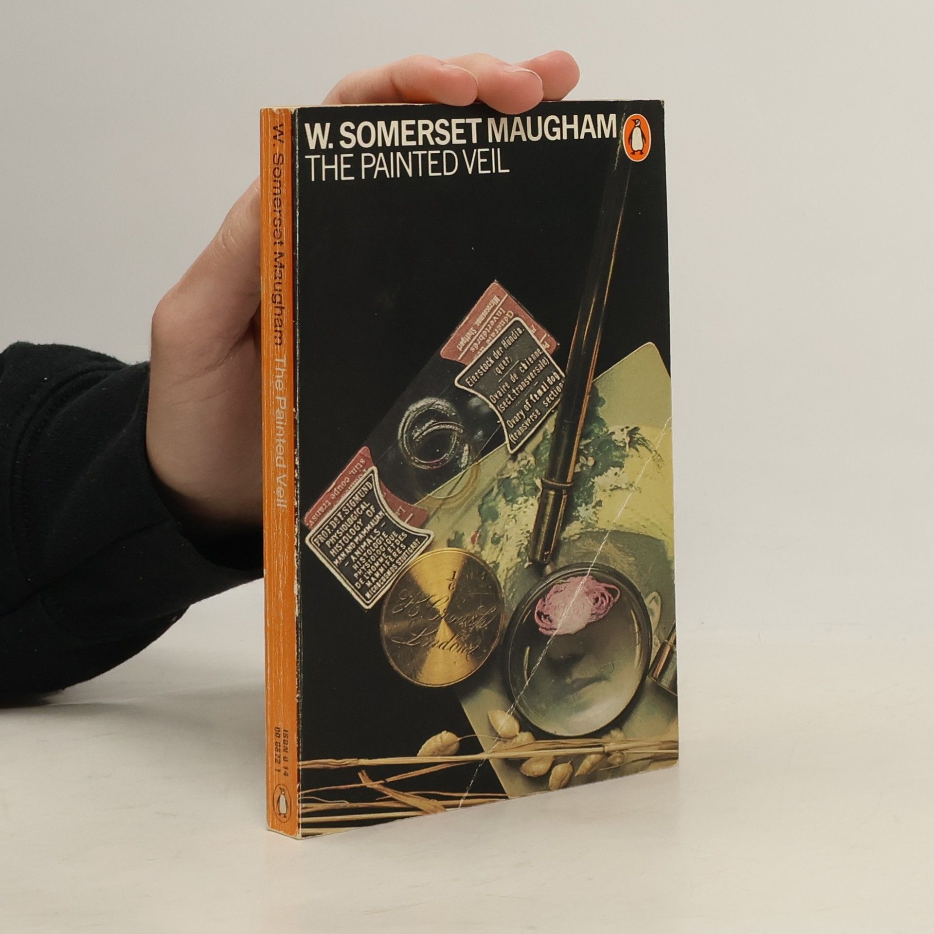 William Somerset Maugham The Painted Veil