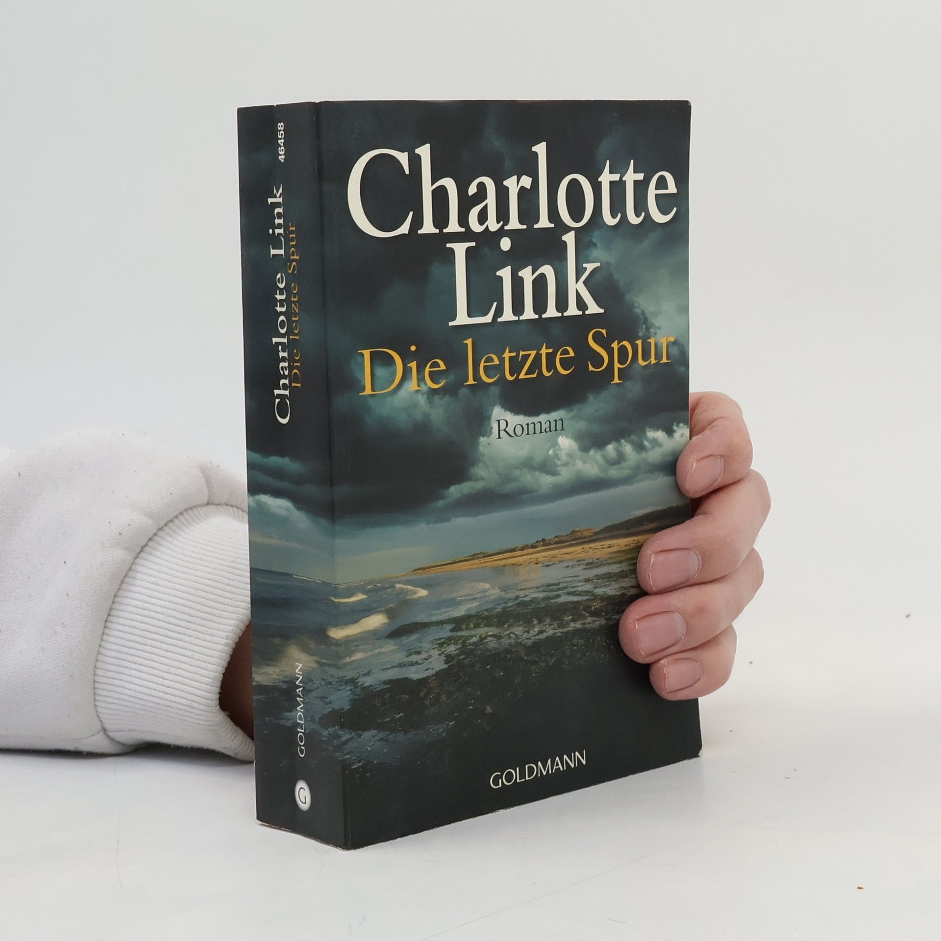 Charlotte Link Die letzte Spur
