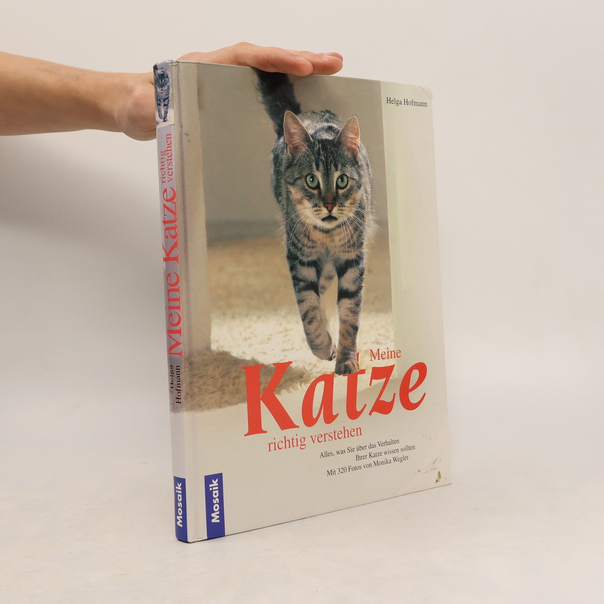 Helga Hofmann Meine Katze richtig verstehen