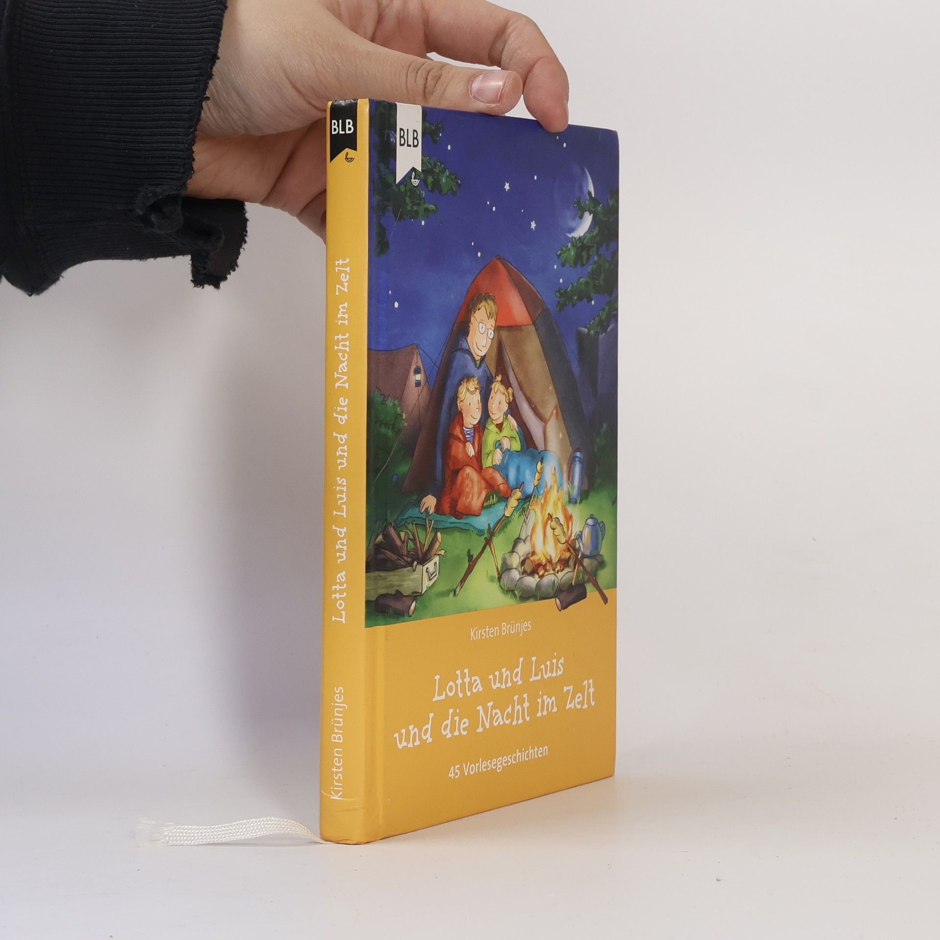 Kirsten Brünjes Lotta und Luis und die Nacht im Zelt