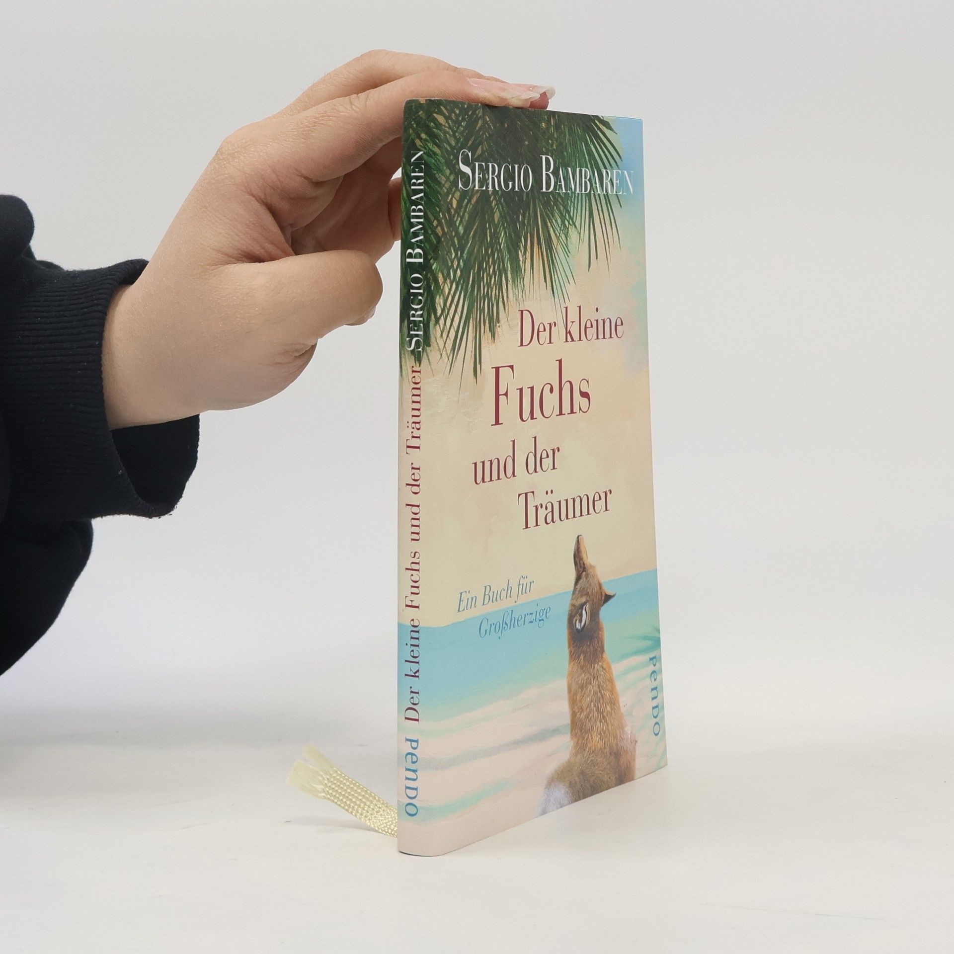 Der kleine Fuchs und der Träumer