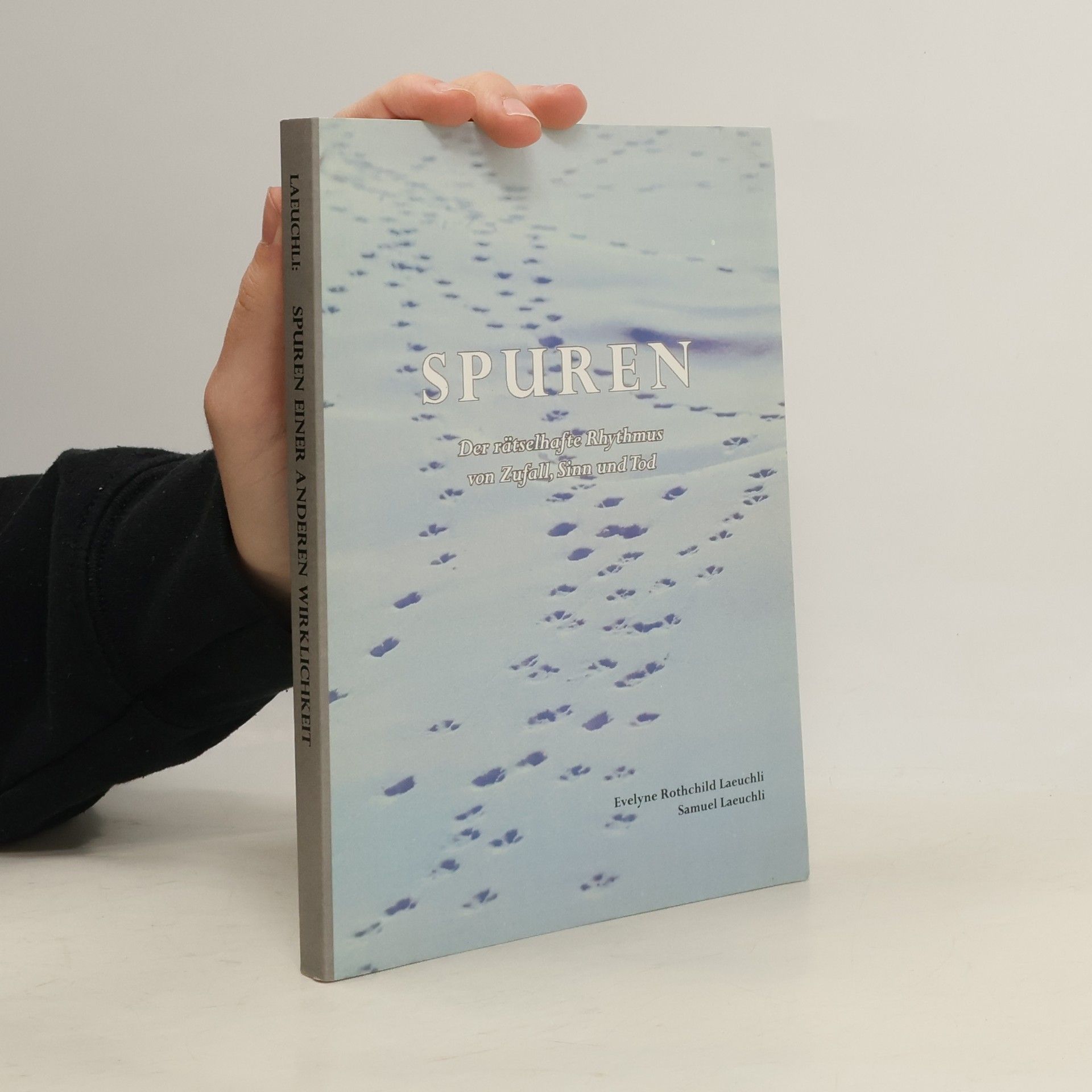 Evelyne Rothschild Laeuchli Spuren einer anderen Wirklichkeit