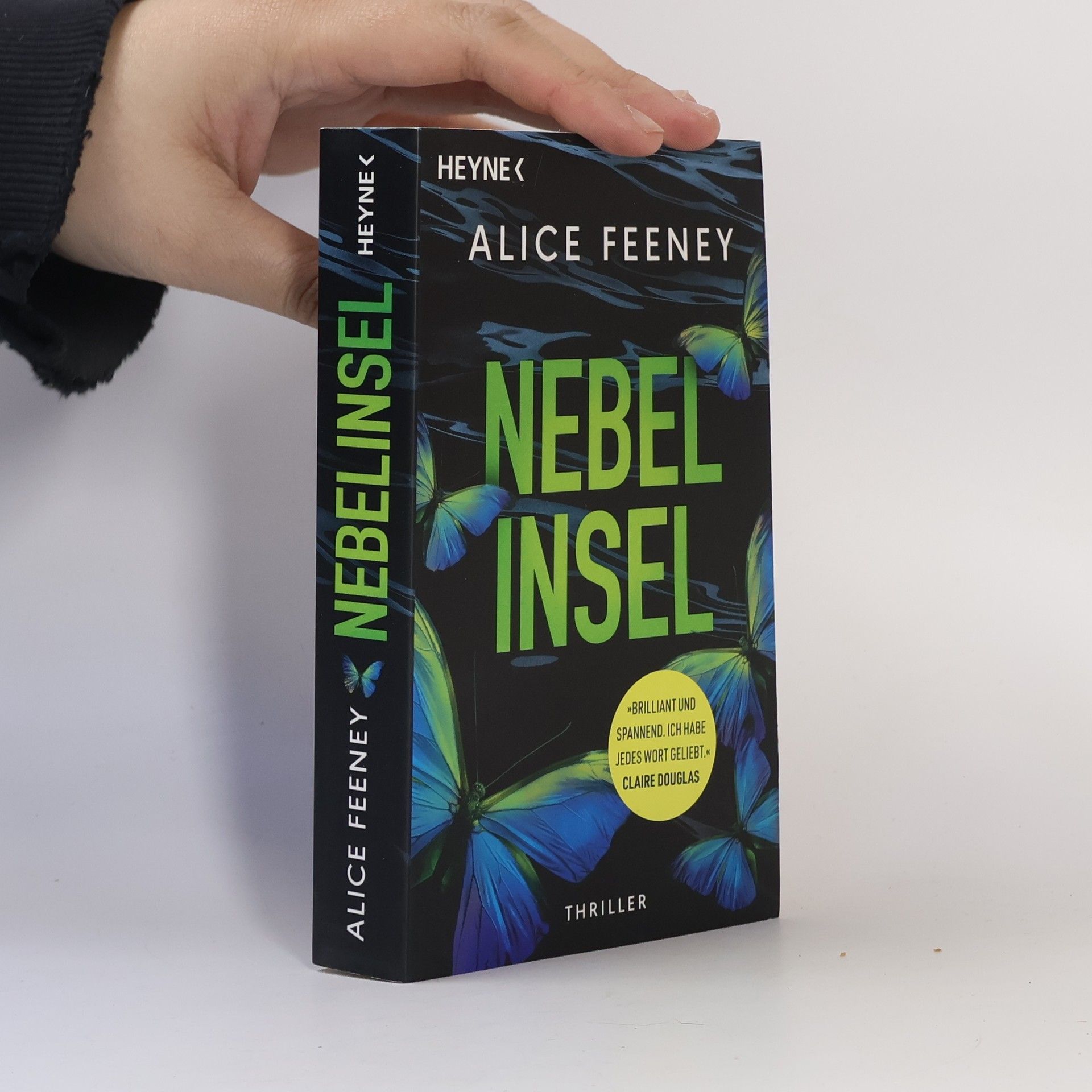 Alice Feeney Nebelinsel