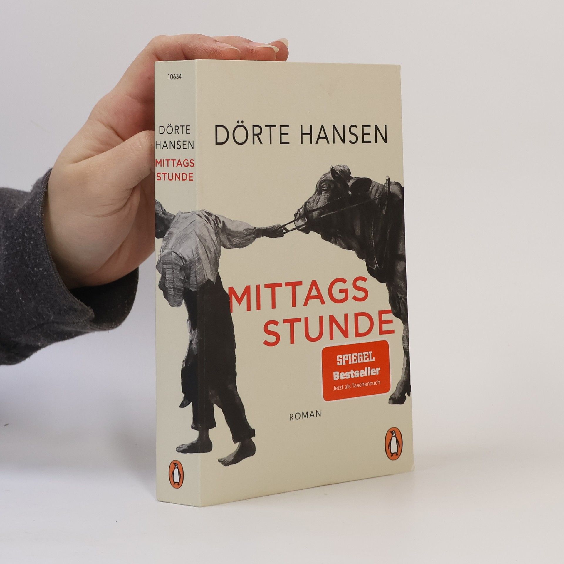 Dörte Hansen Mittagsstunde