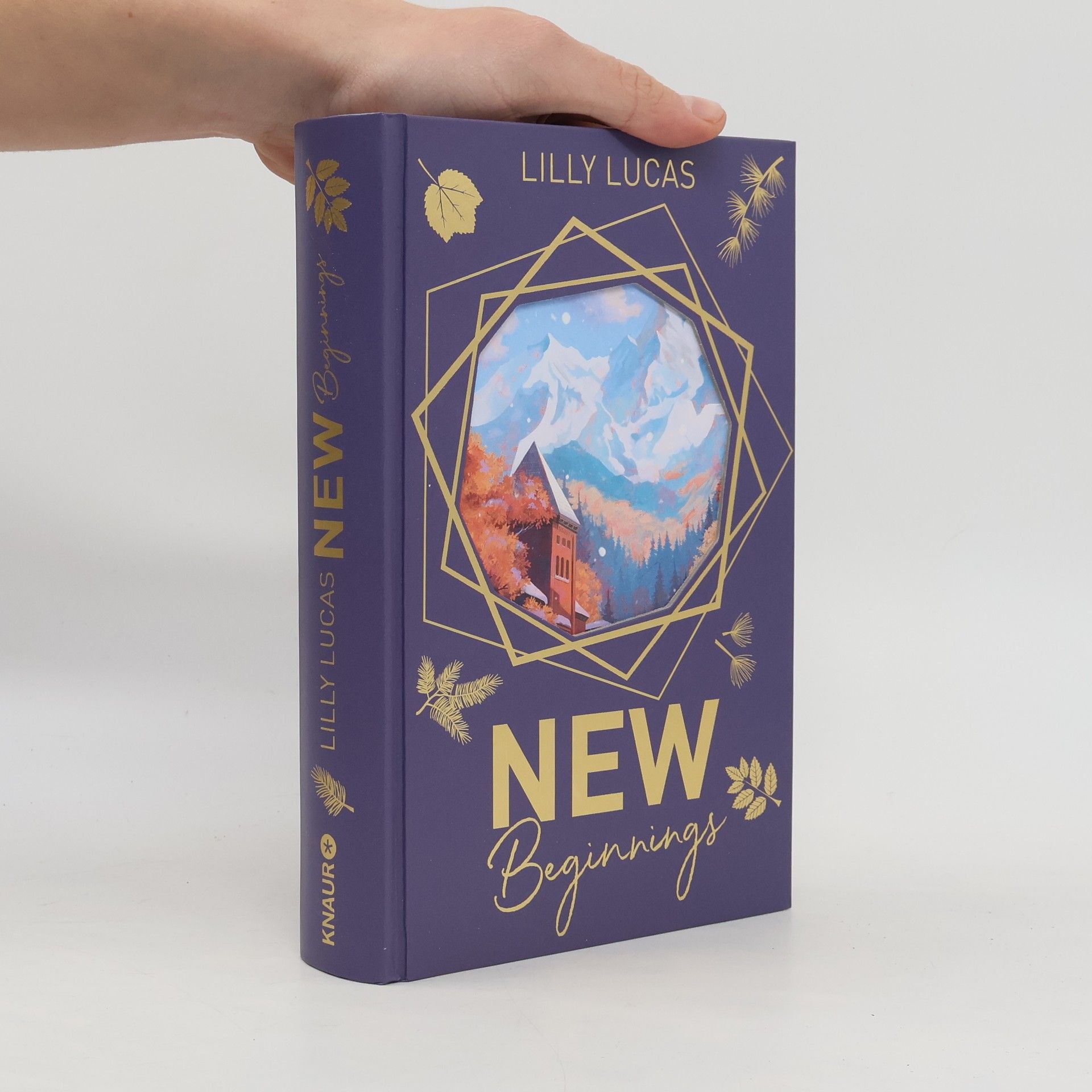 Lilly Lucas New Beginnings