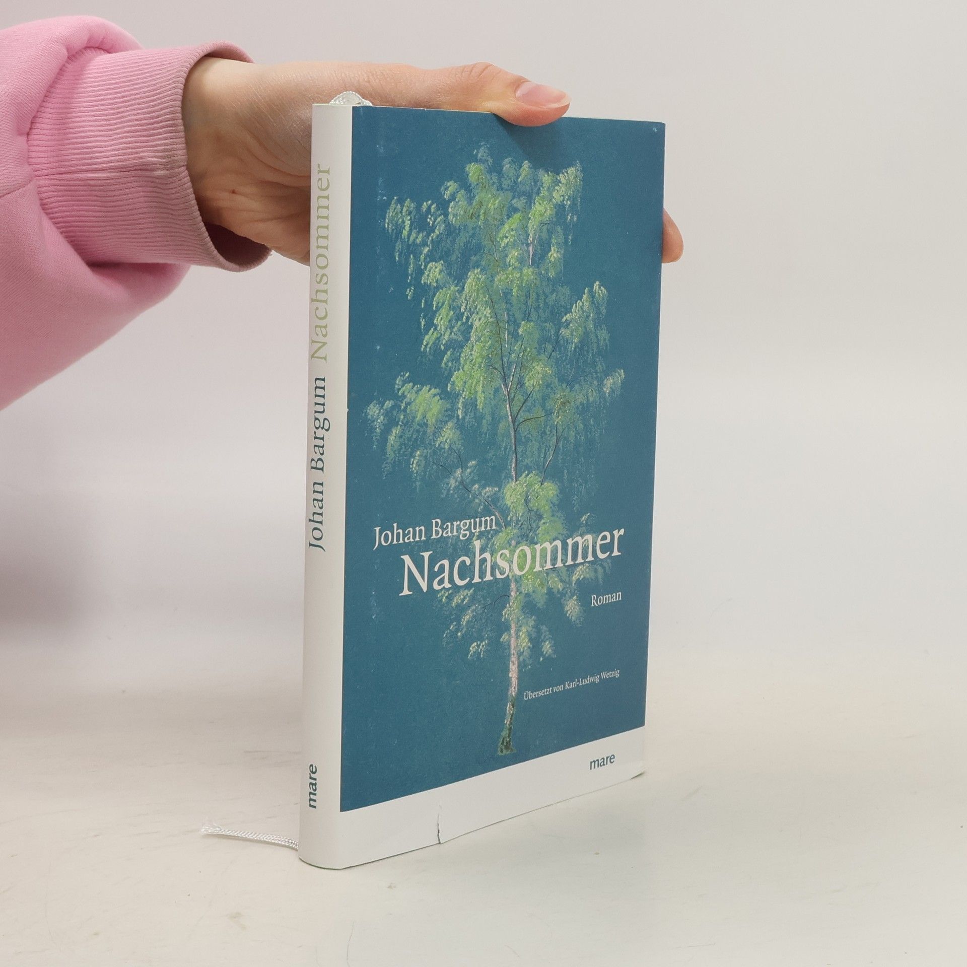 Johan Bargum Nachsommer