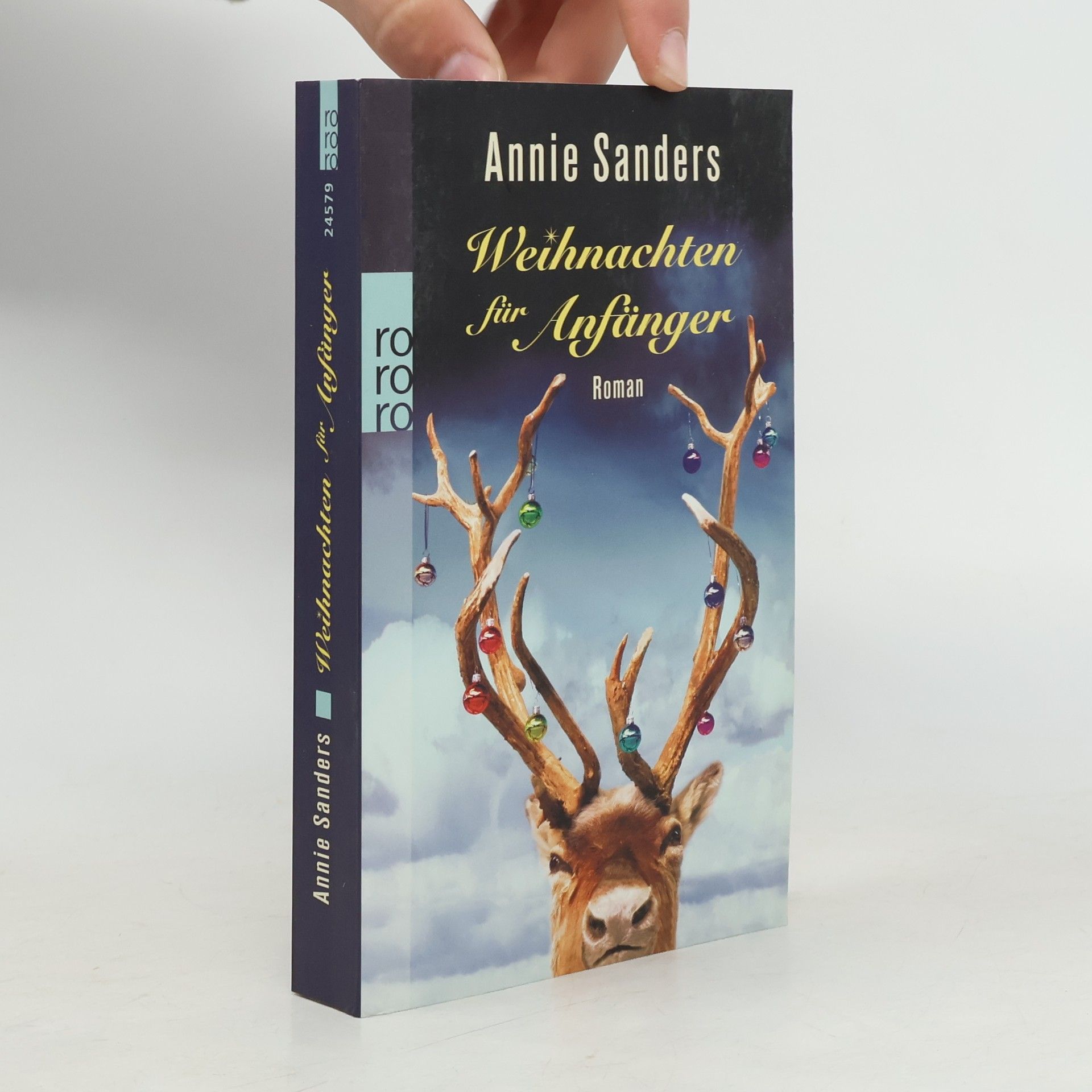 Annie Sanders Weihnachten für Anfänger