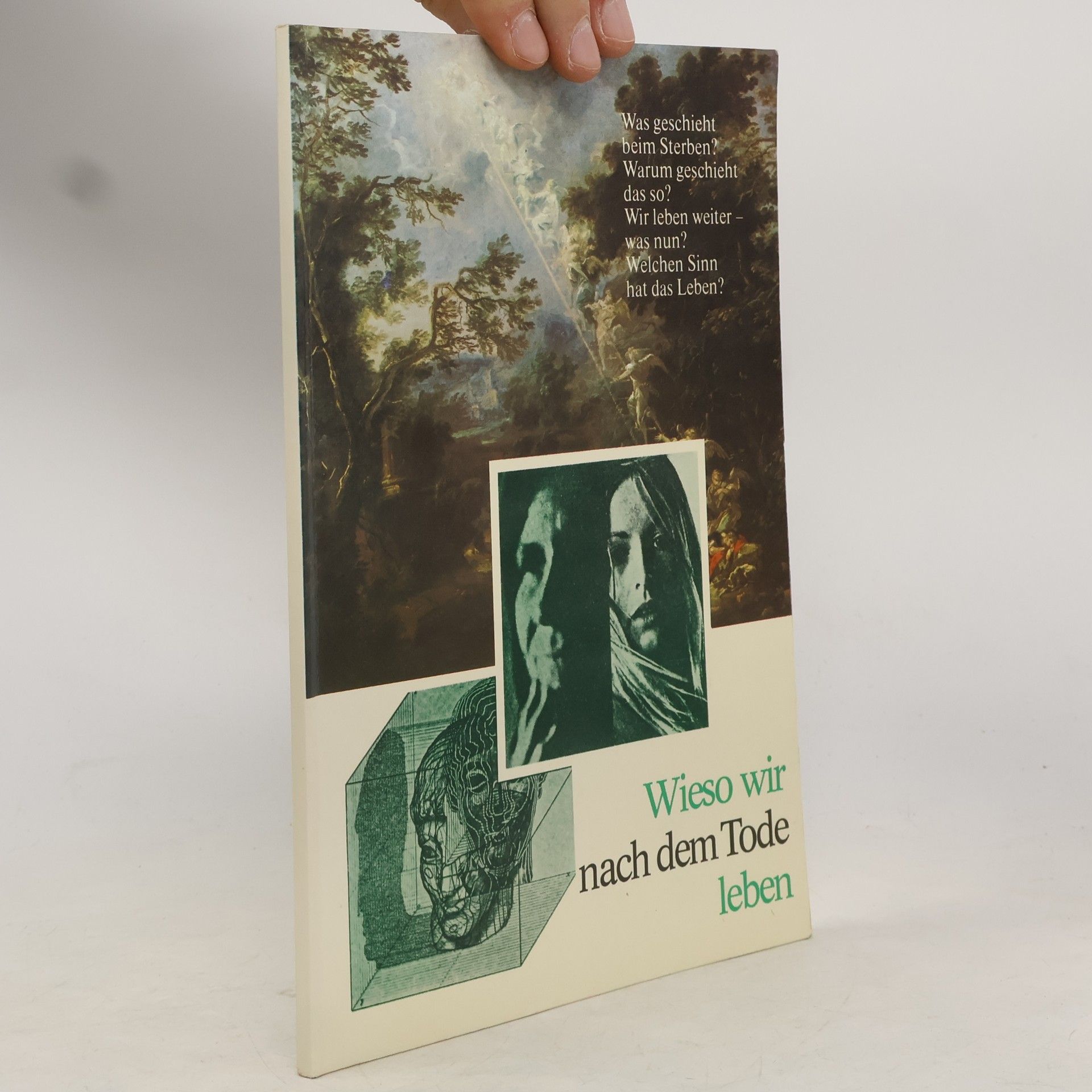 Richard Steinpach Wieso wir nach dem Tode leben