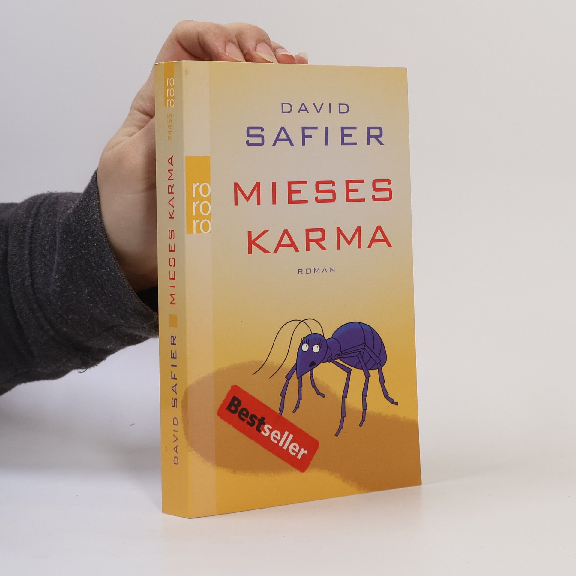 David Safier Mieses Karma