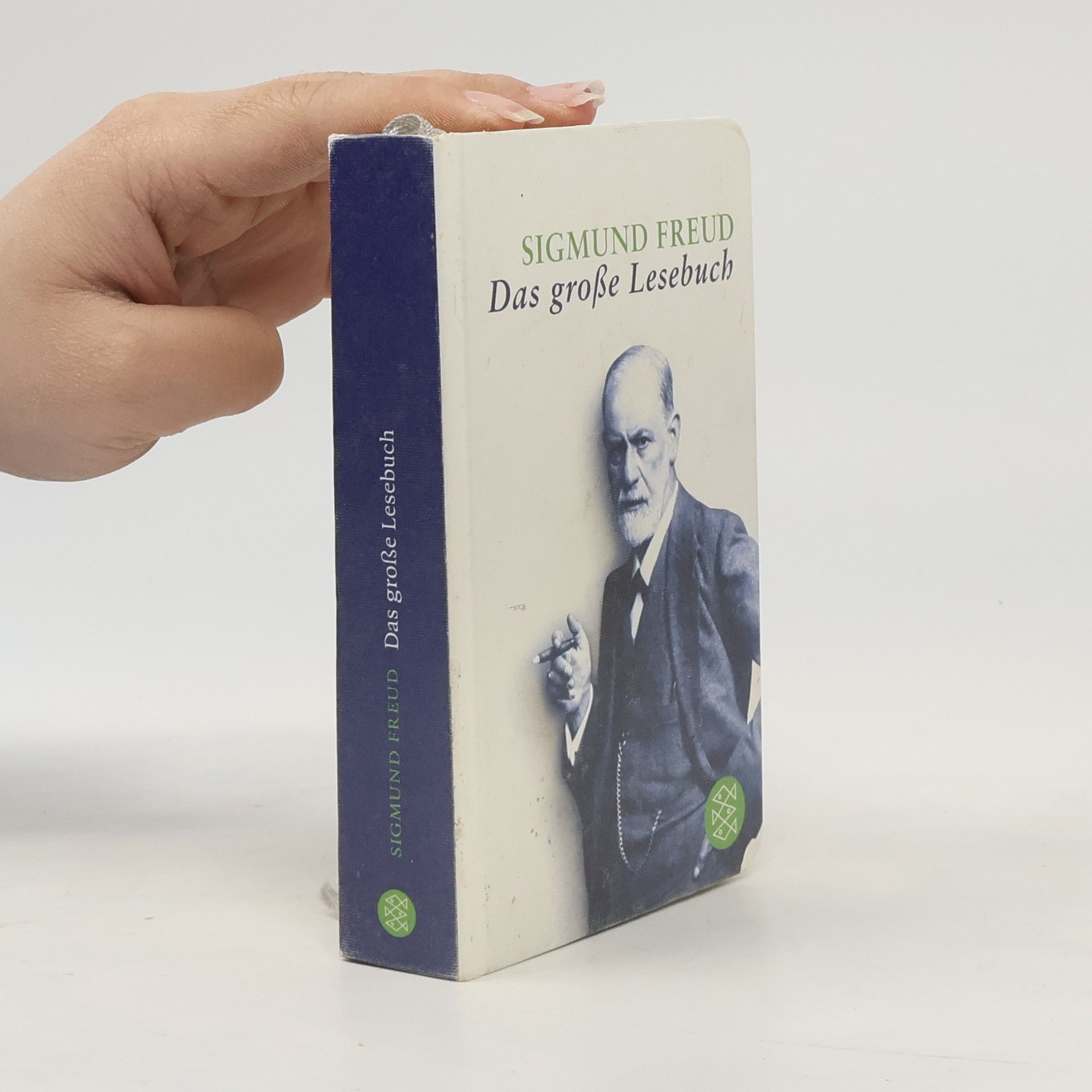 Sigmund Freud Das große Lesebuch