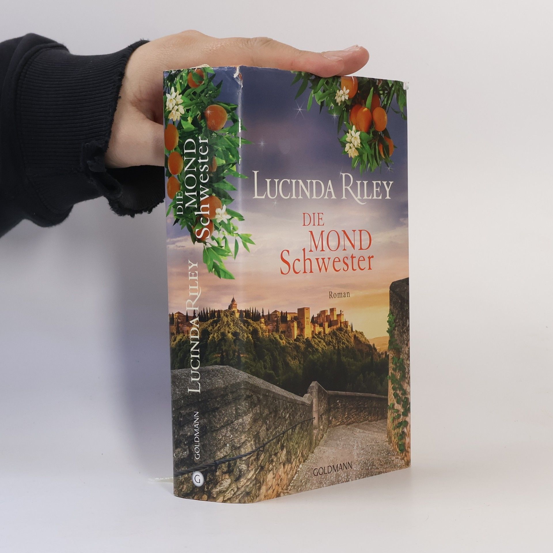 Lucinda Riley Die Mondschwester