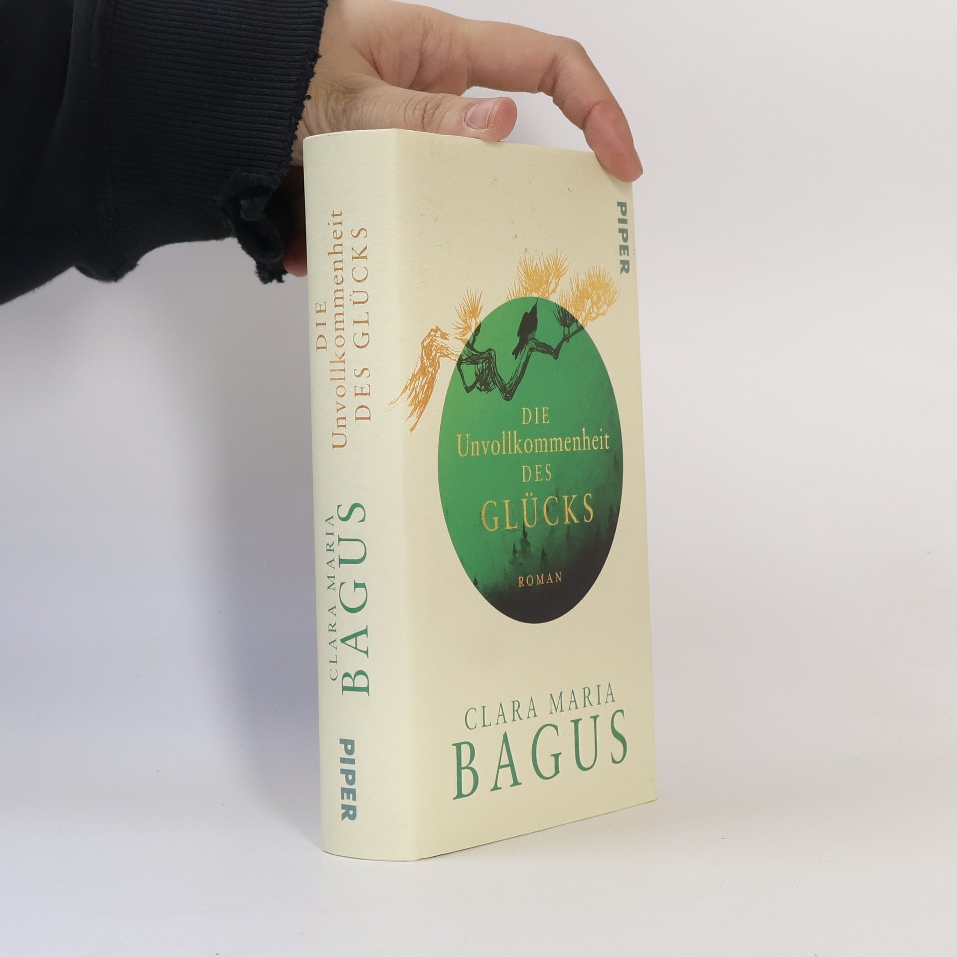 Clara Maria Bagus Die Unvollkommenheit des Glücks