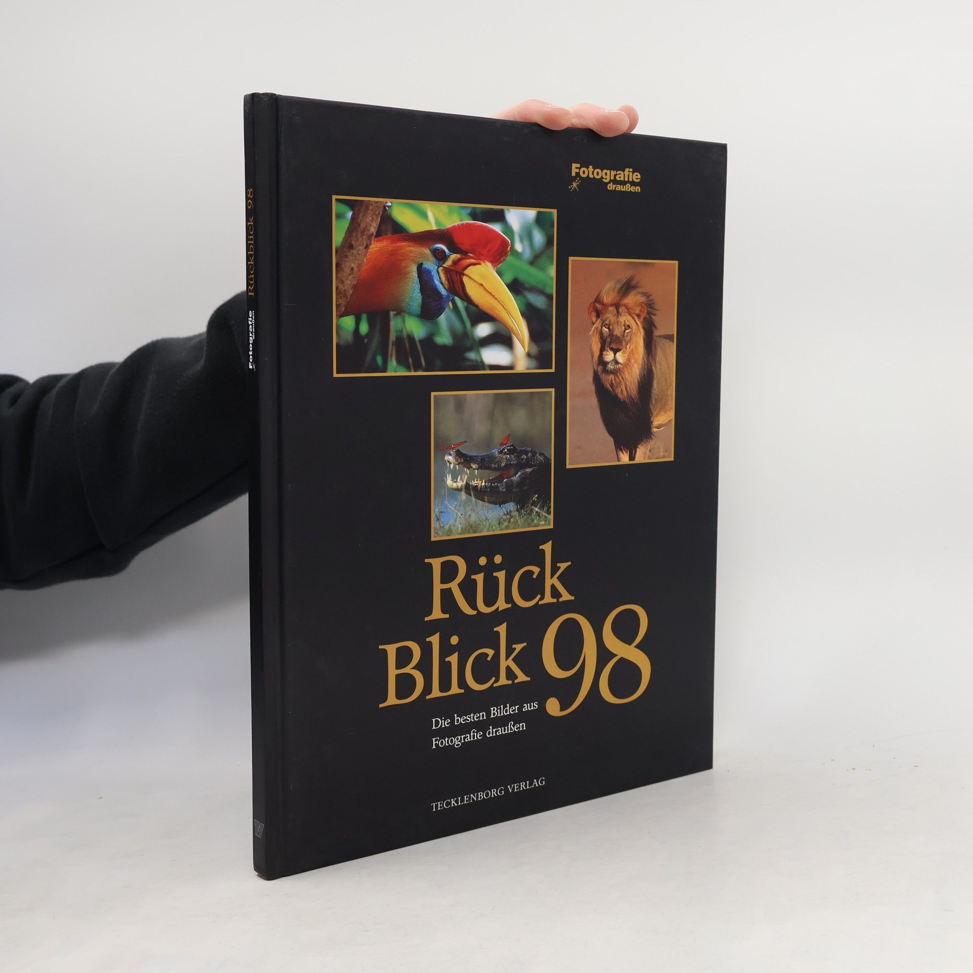 Rückblick 98. Fotografie draußen.