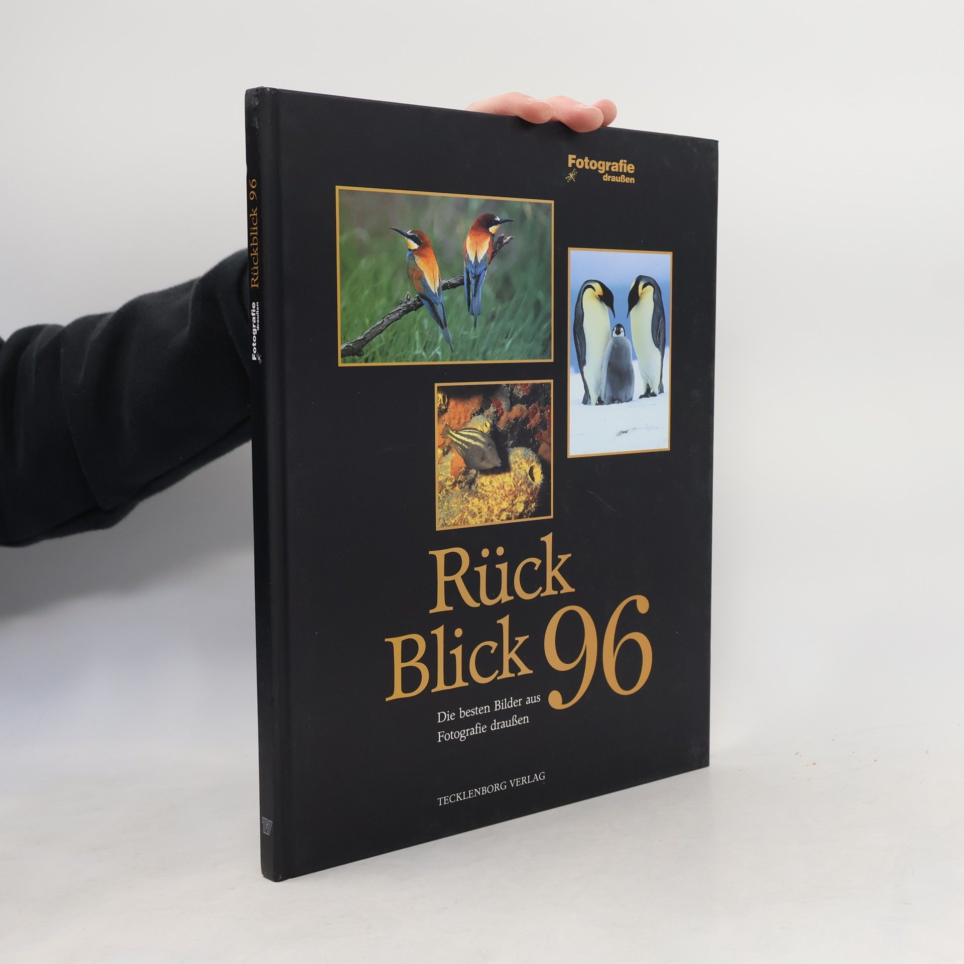 Rückblick. Fotografie draußen 96