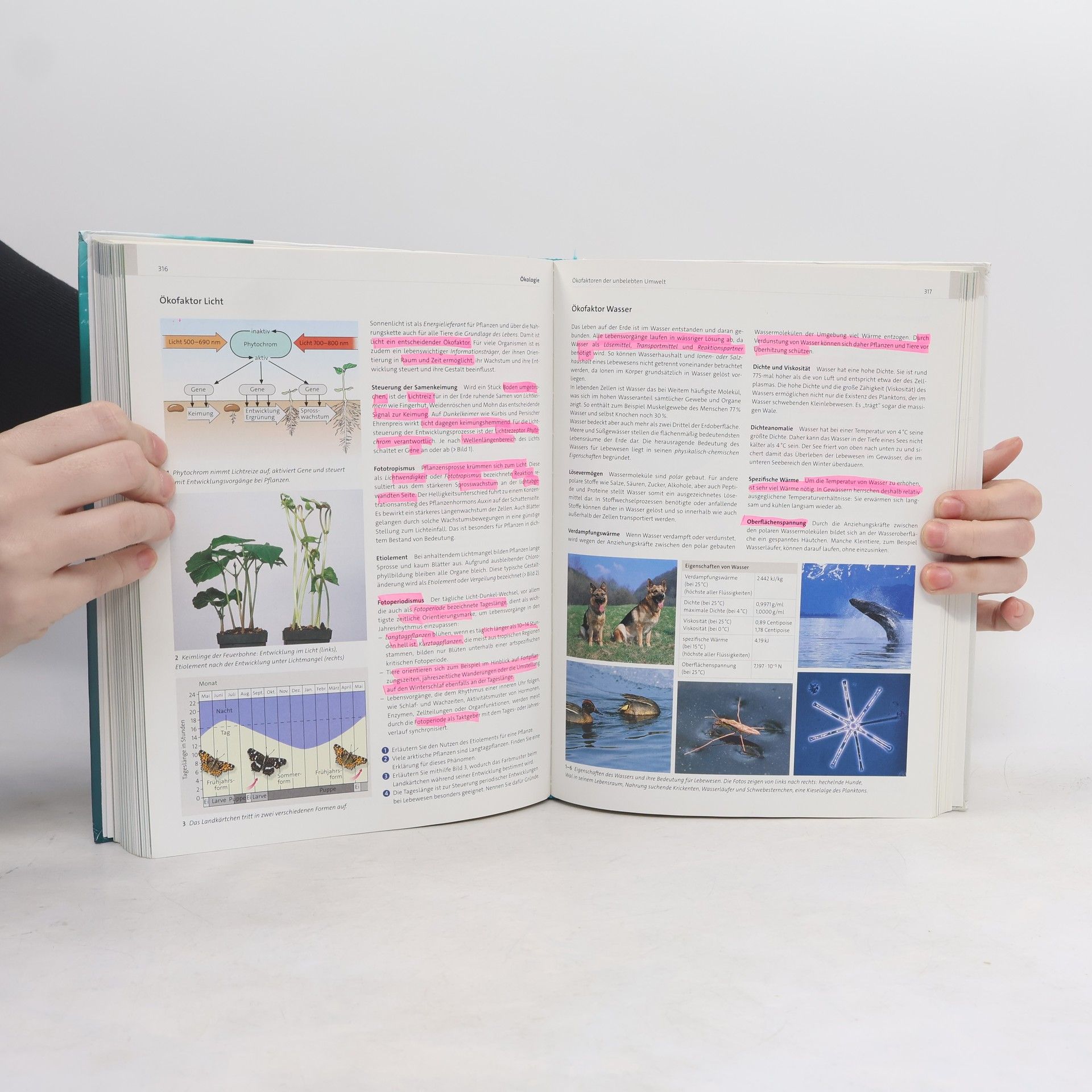 AA.VV. Gesamtband Biologie Oberstufe