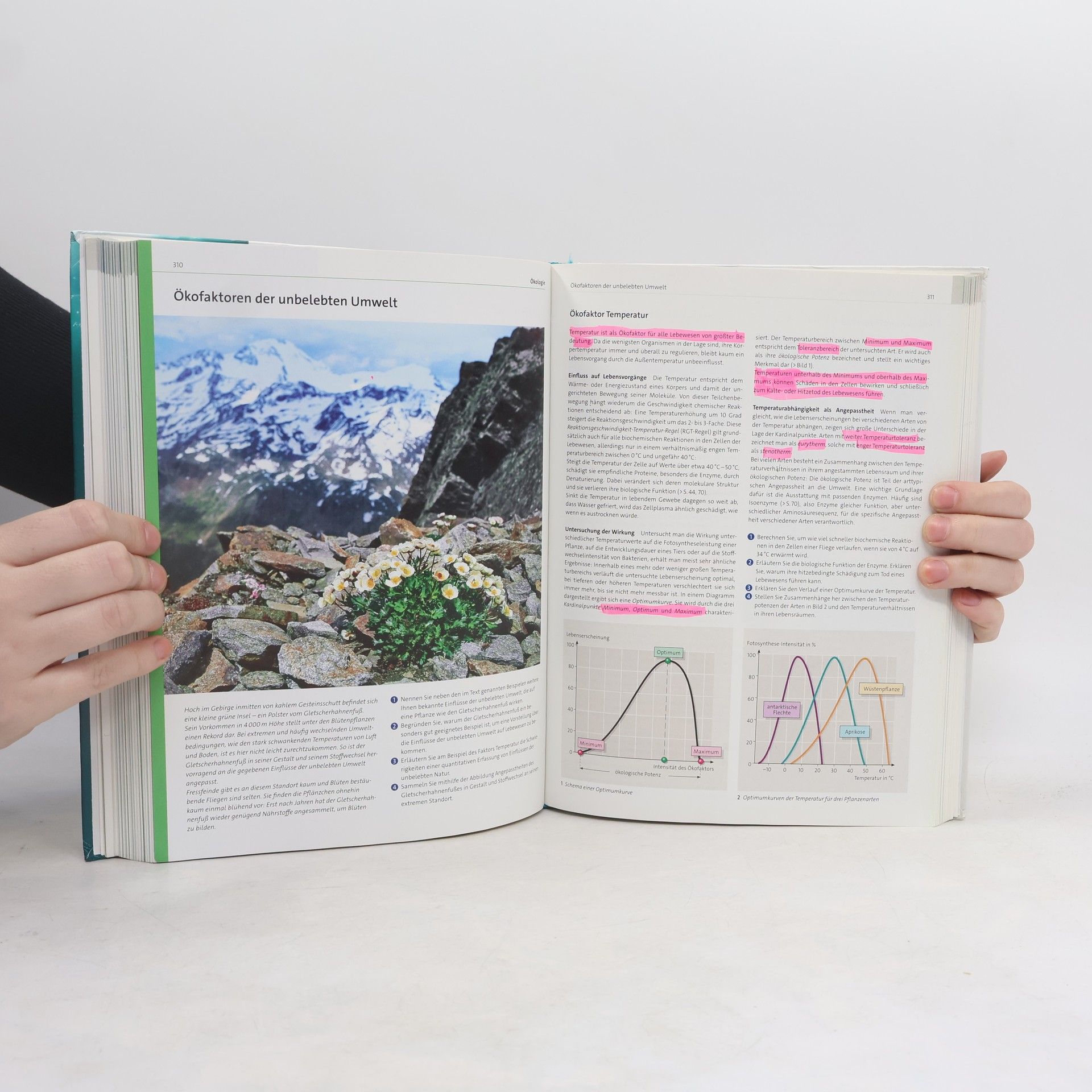 AA.VV. Gesamtband Biologie Oberstufe