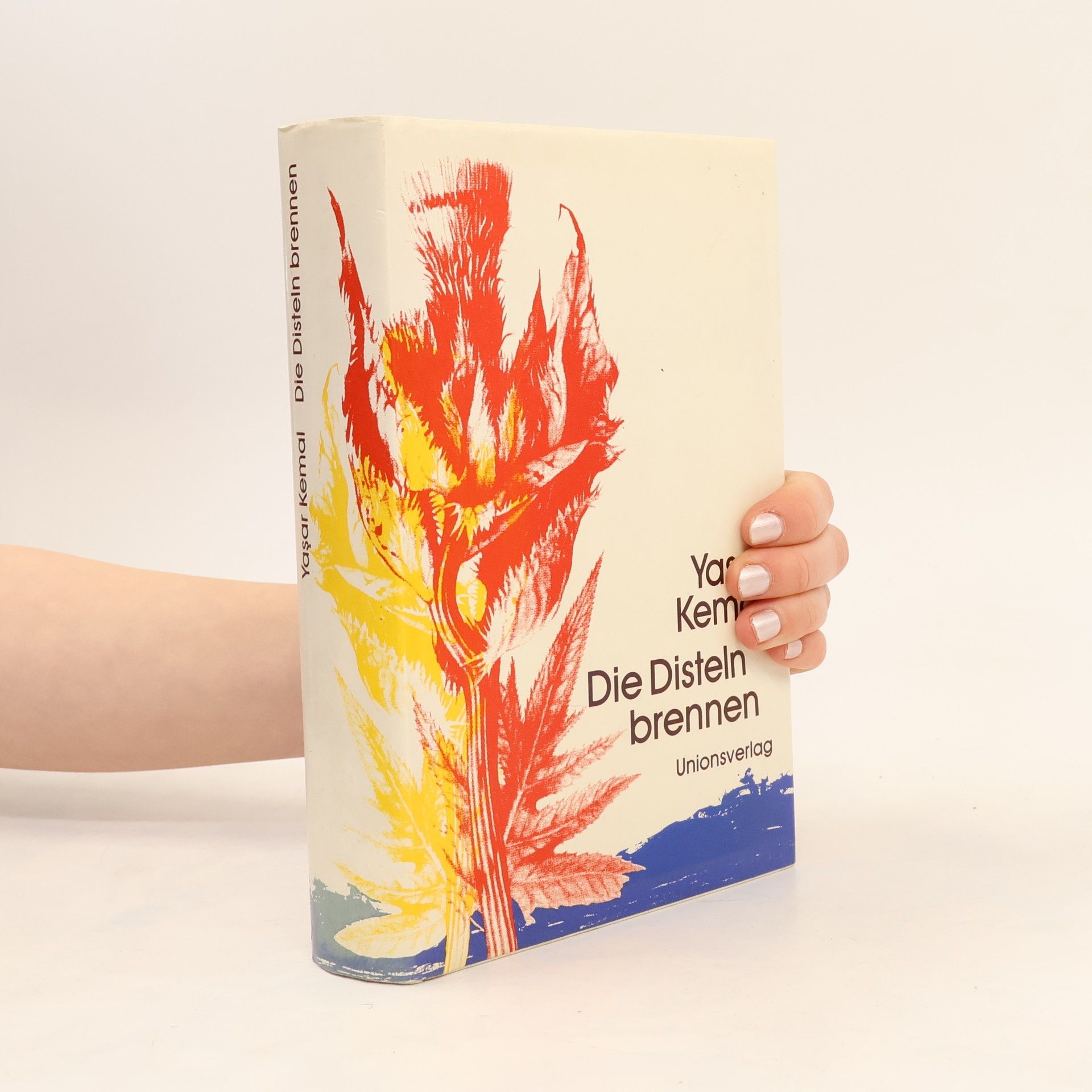 Yaşar Kemal Die Disteln brennen