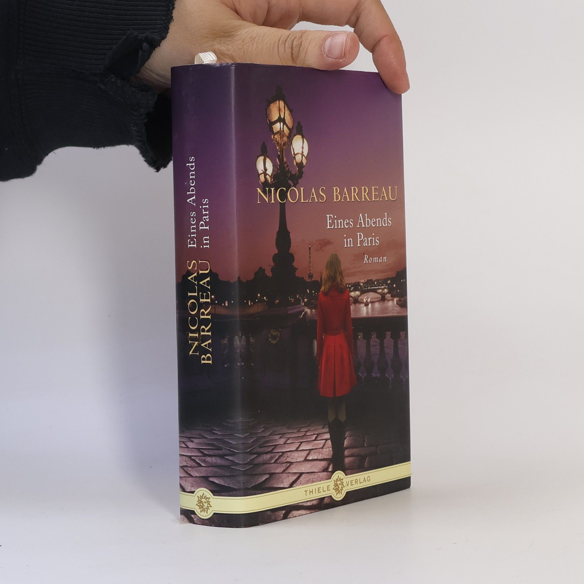 Nicolas Barreau Eines Abends in Paris