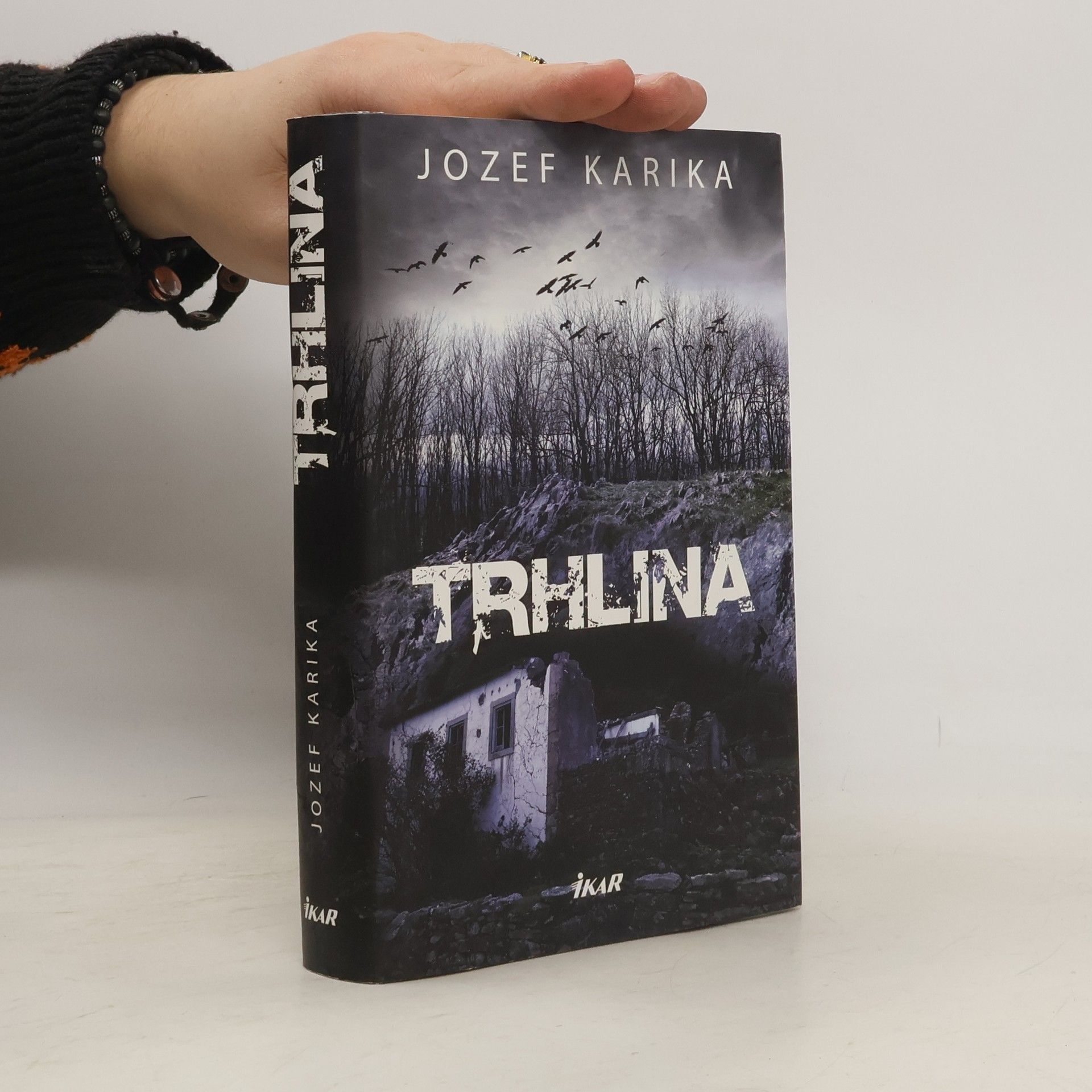 Jozef Karika Trhlina