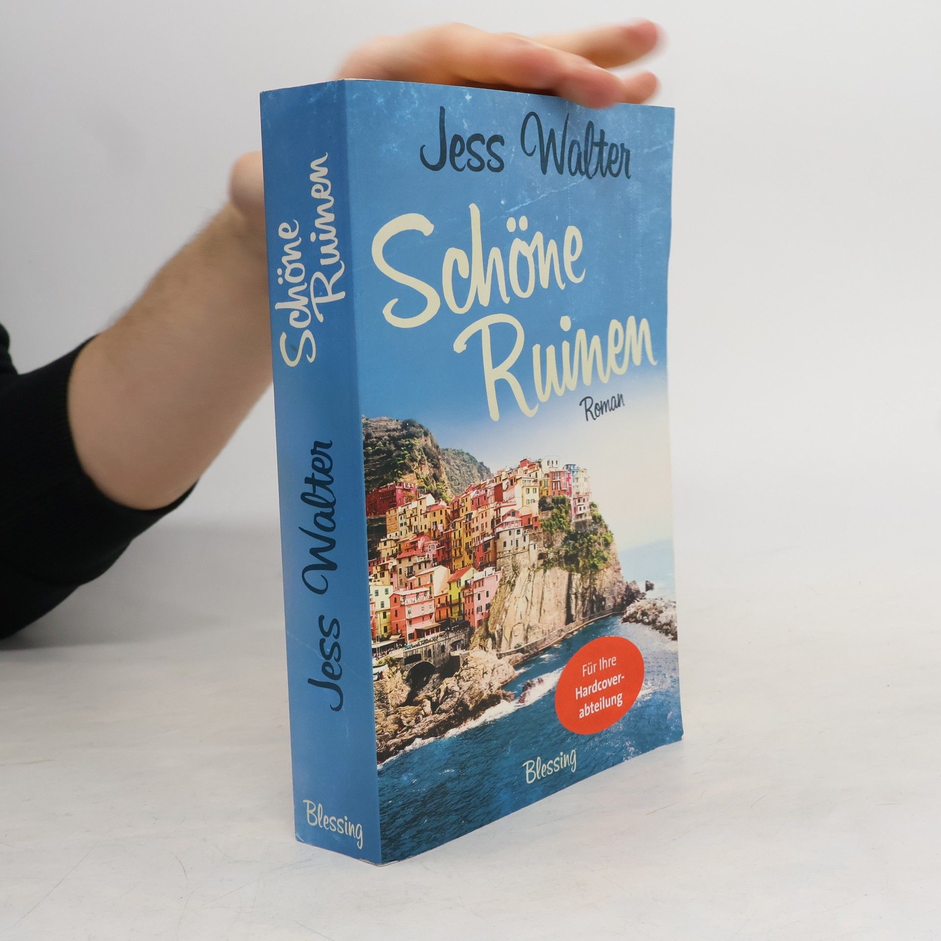 Jess Walter Schöne Ruinen